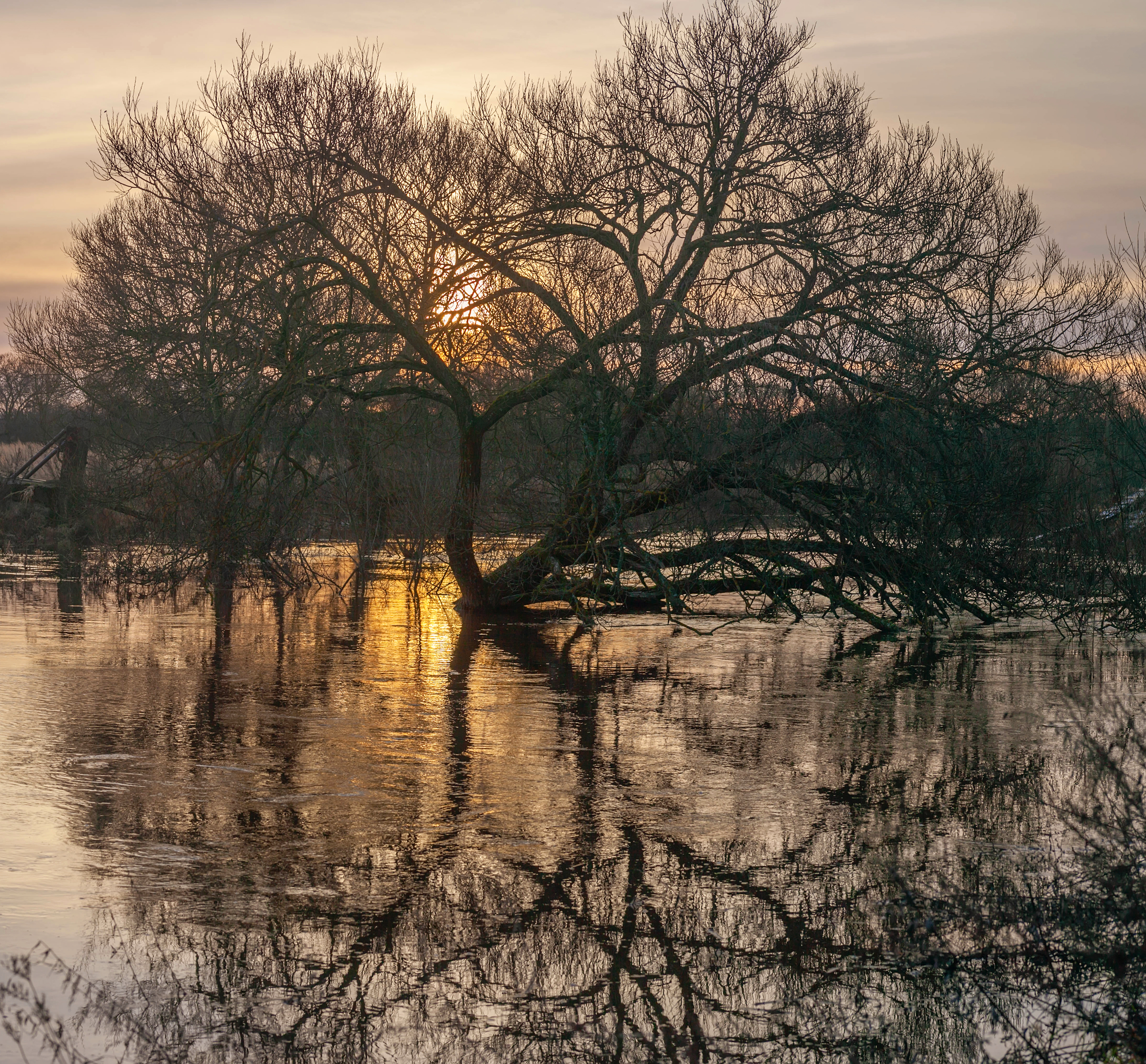 река, рассвет , осень, Свистков Александр
