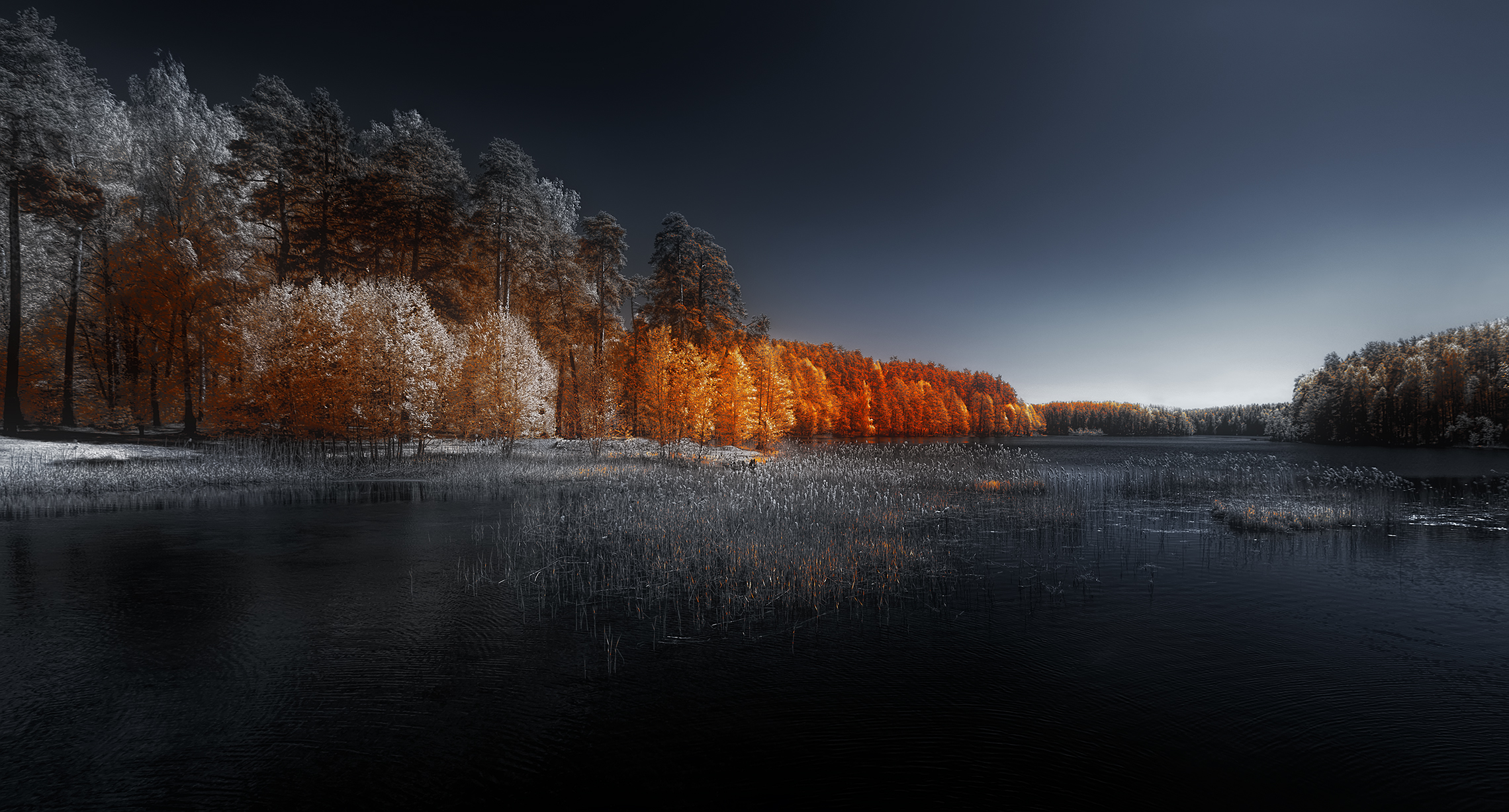 infrared, ик-фото, инфракрасное фото, инфракрасная фотография, пейзаж, весна,  Sixten (Сергей)