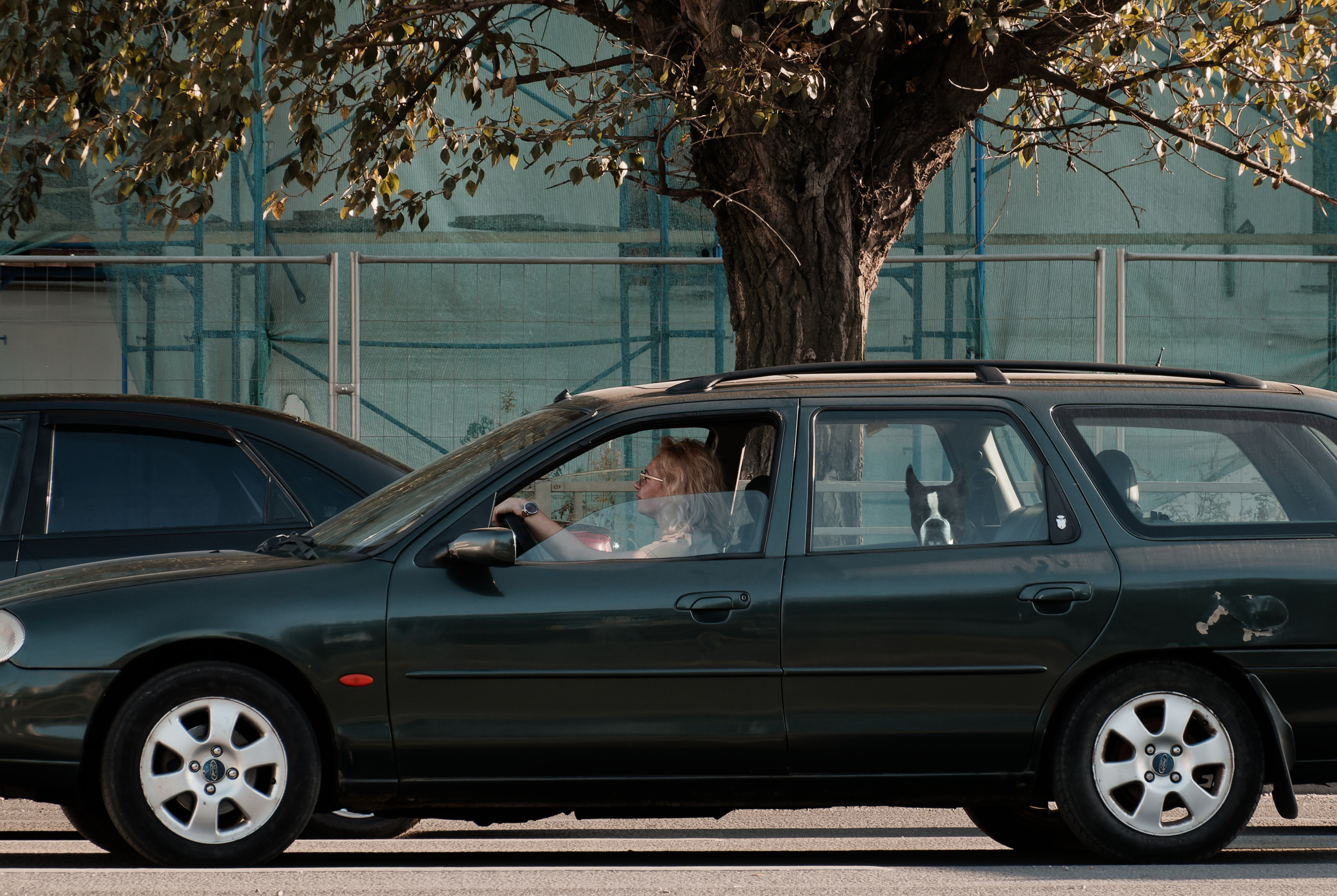 , Какоткин Роман