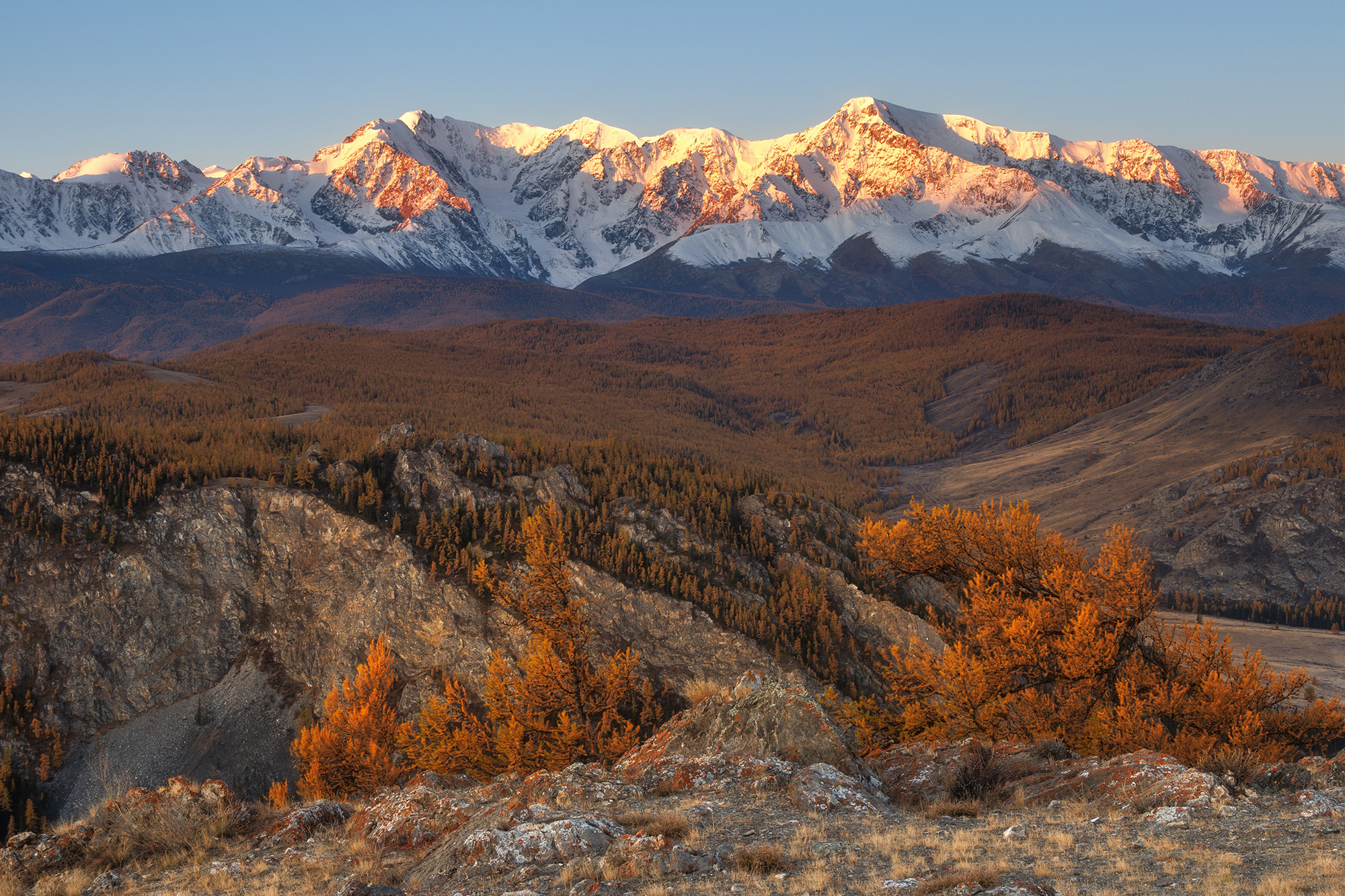 алтай, горный алтай, рассвет, горы, лиственницы, пейзаж, Морозов Сергей