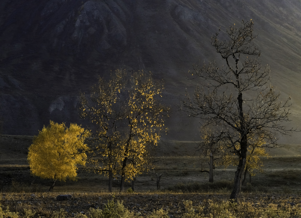 , Ольга Челдыкова