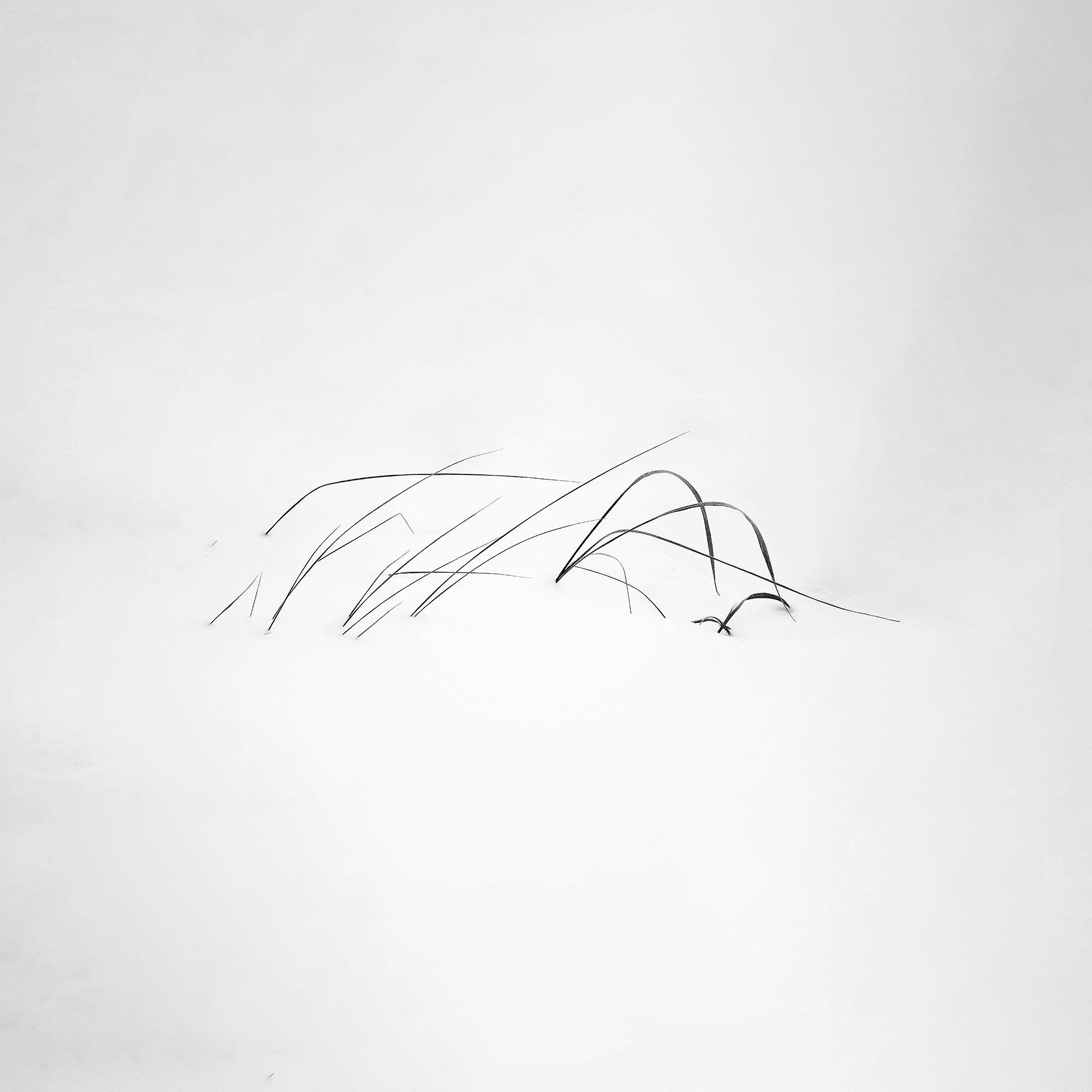 зима, абстракция, природа, минимализм, Толстоноженко Илья