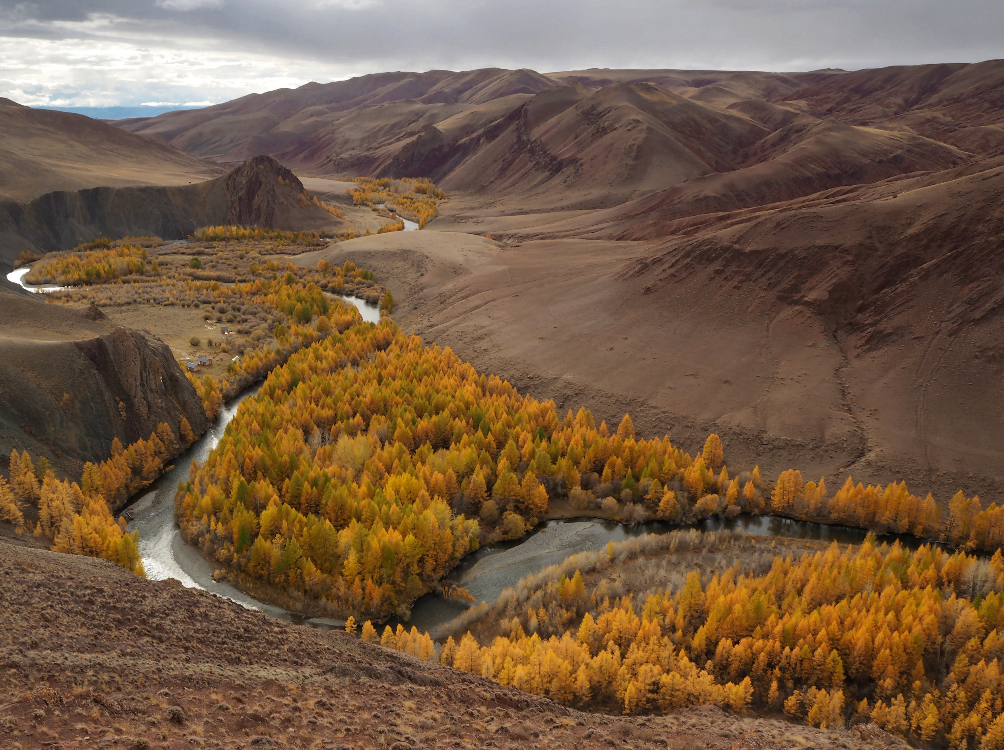 , Евгений Яковлев
