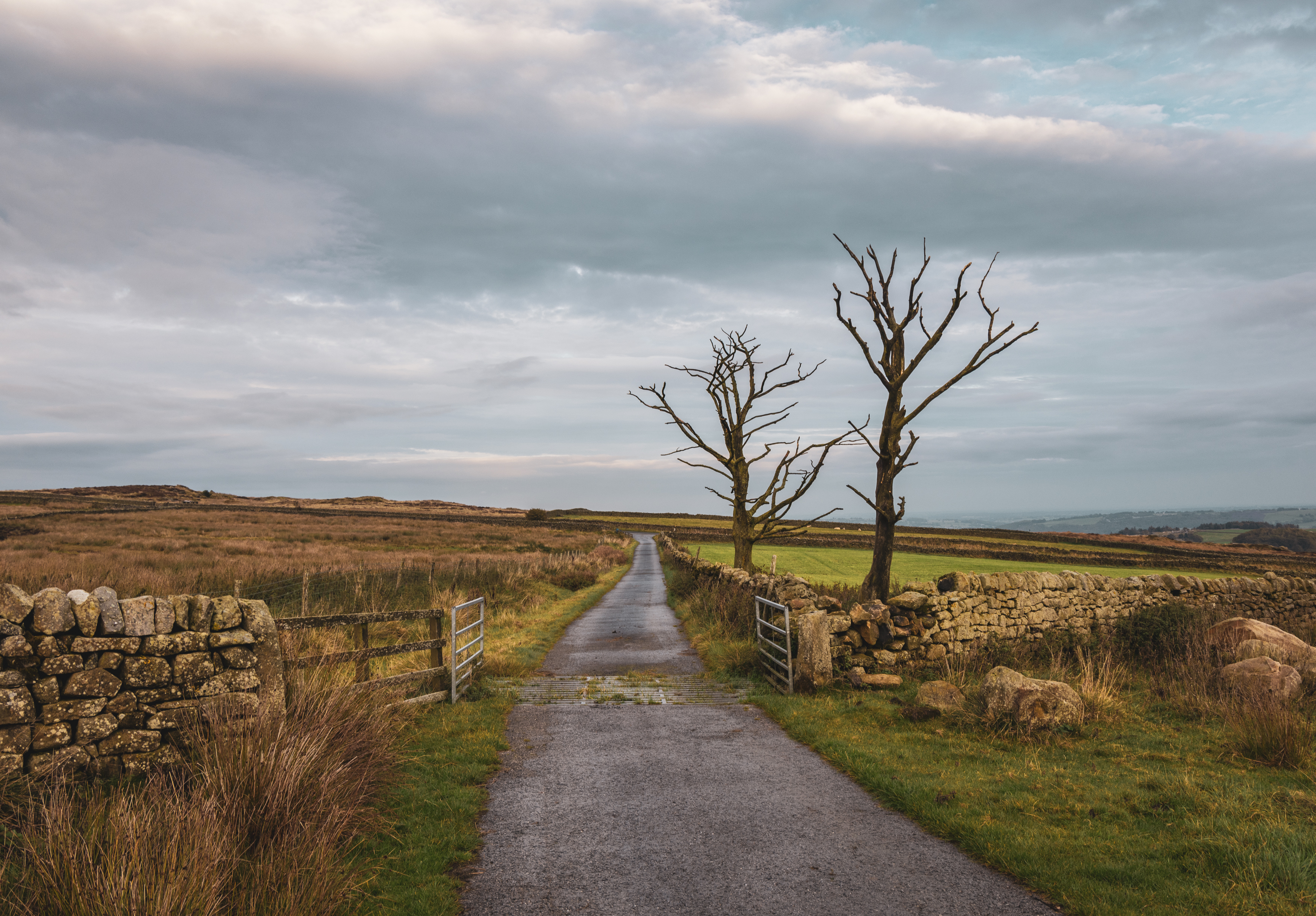 , Алекс Римский