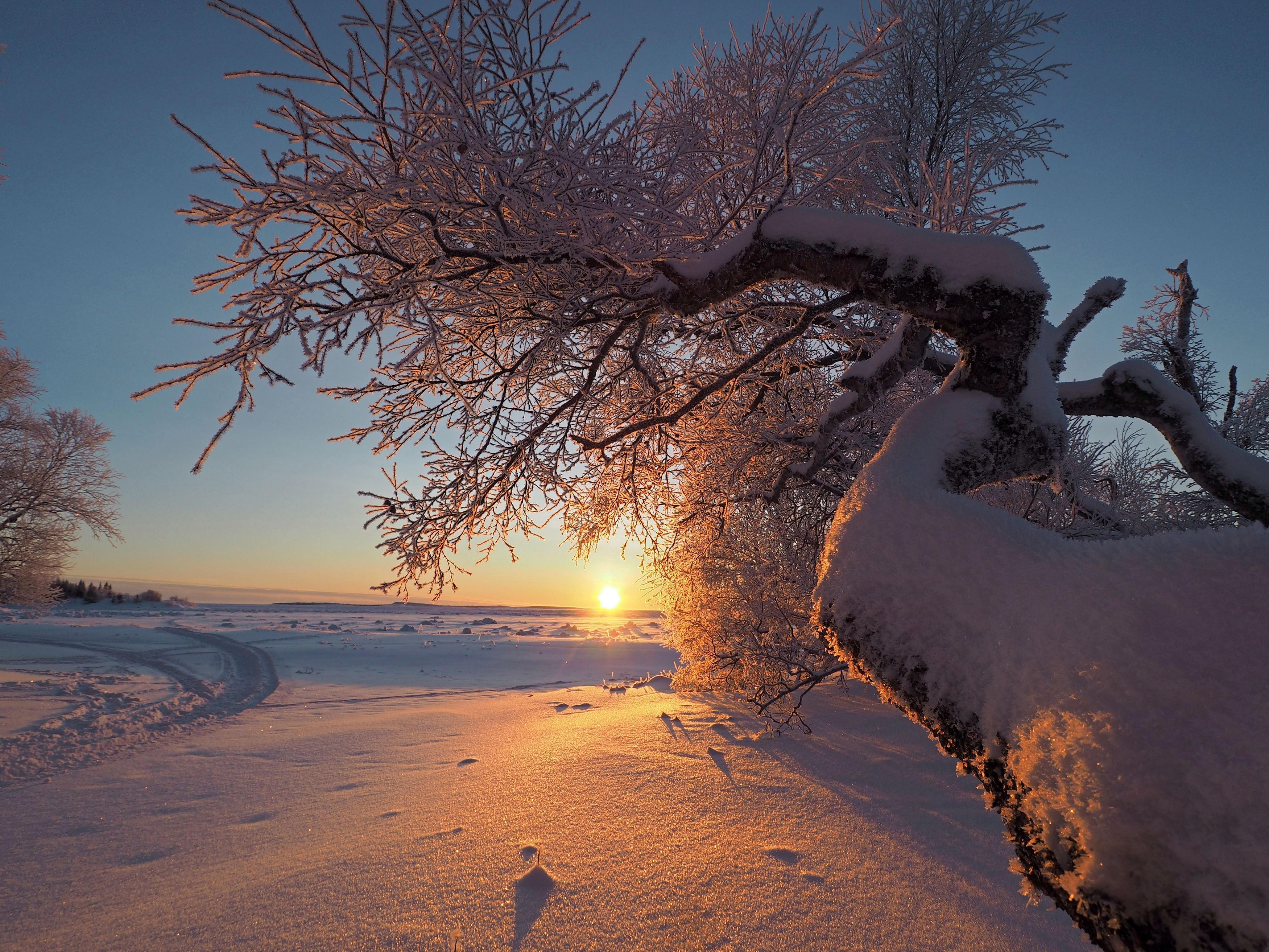 , Евгений Яковлев