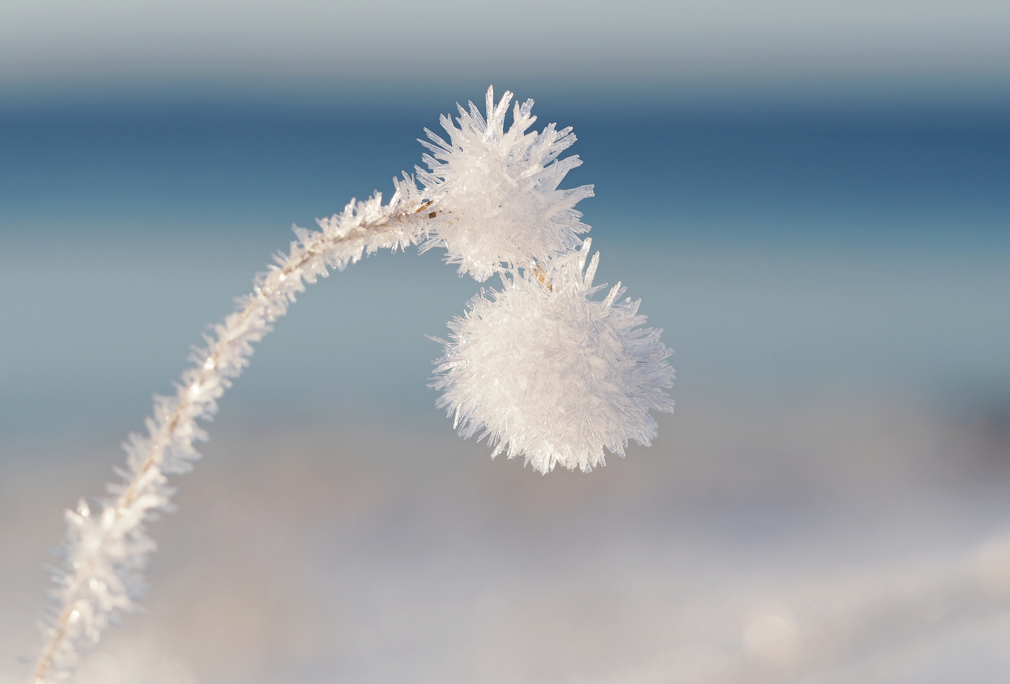 , Евгений Яковлев