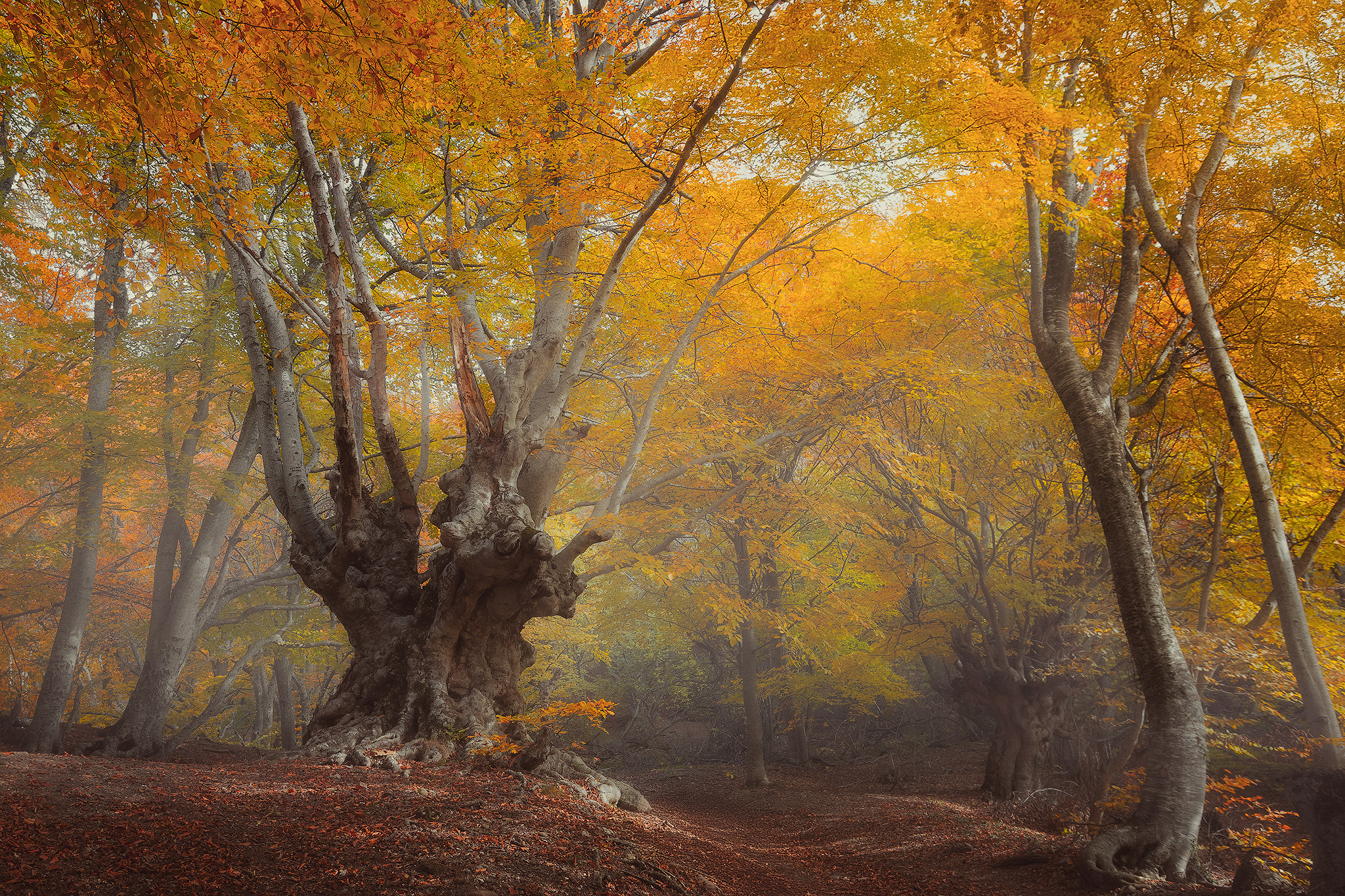 , Костенко Александр