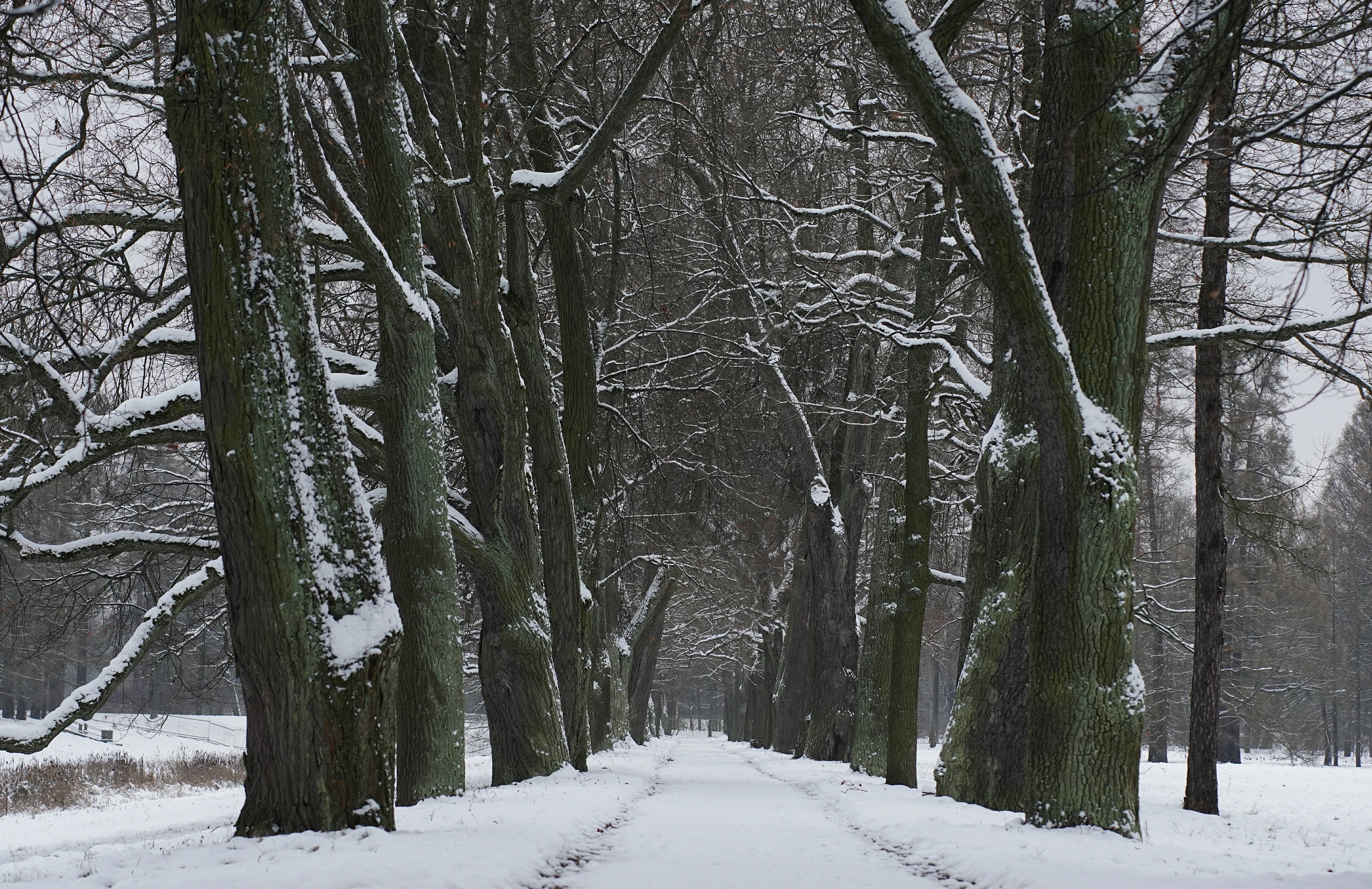,  Сергей Андреевич