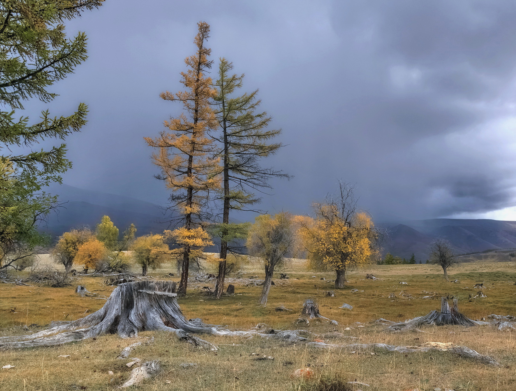 алтай, осень, непогода, Марина Фомина