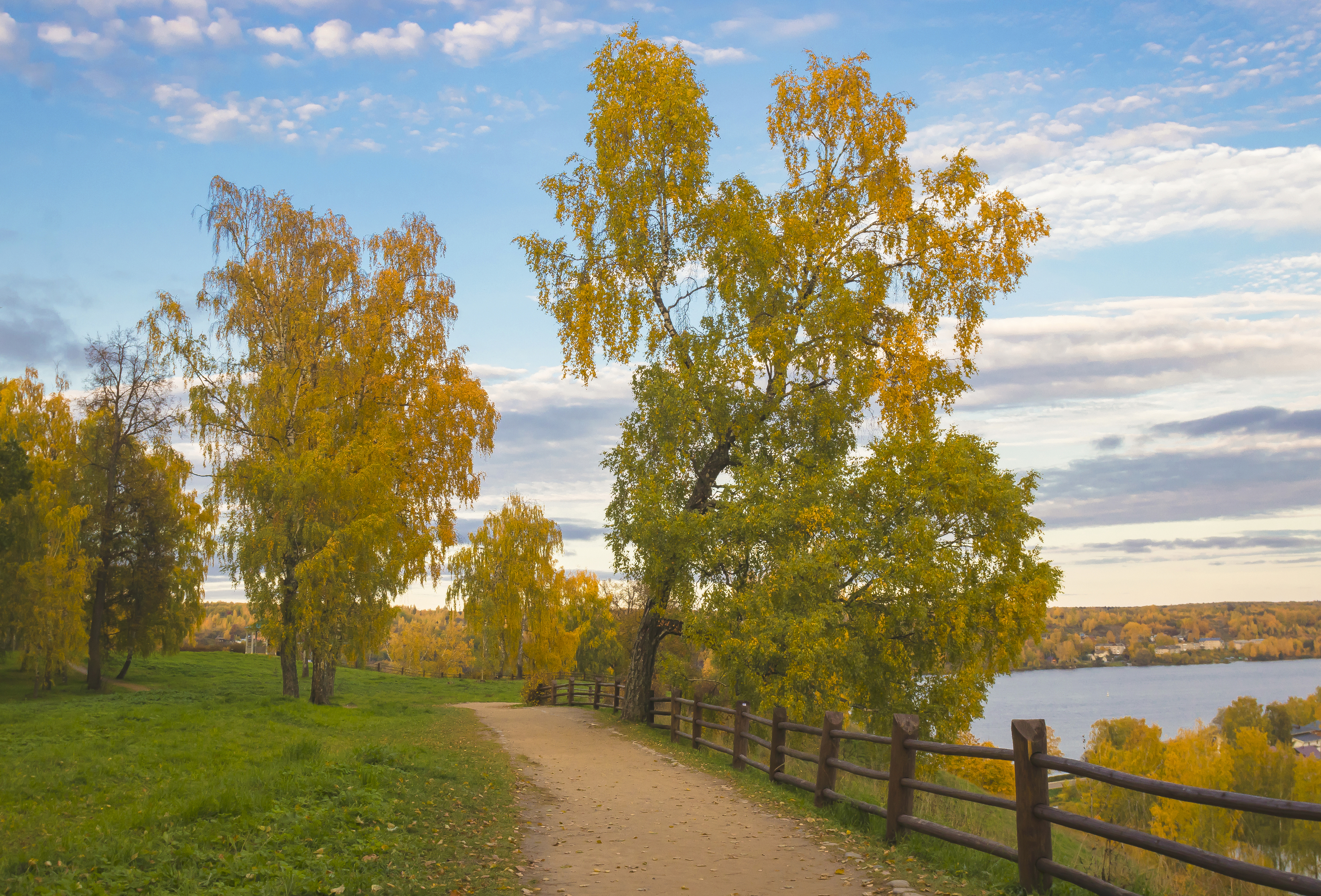 Плес, осень, Соборная гора деревья, галина новинская