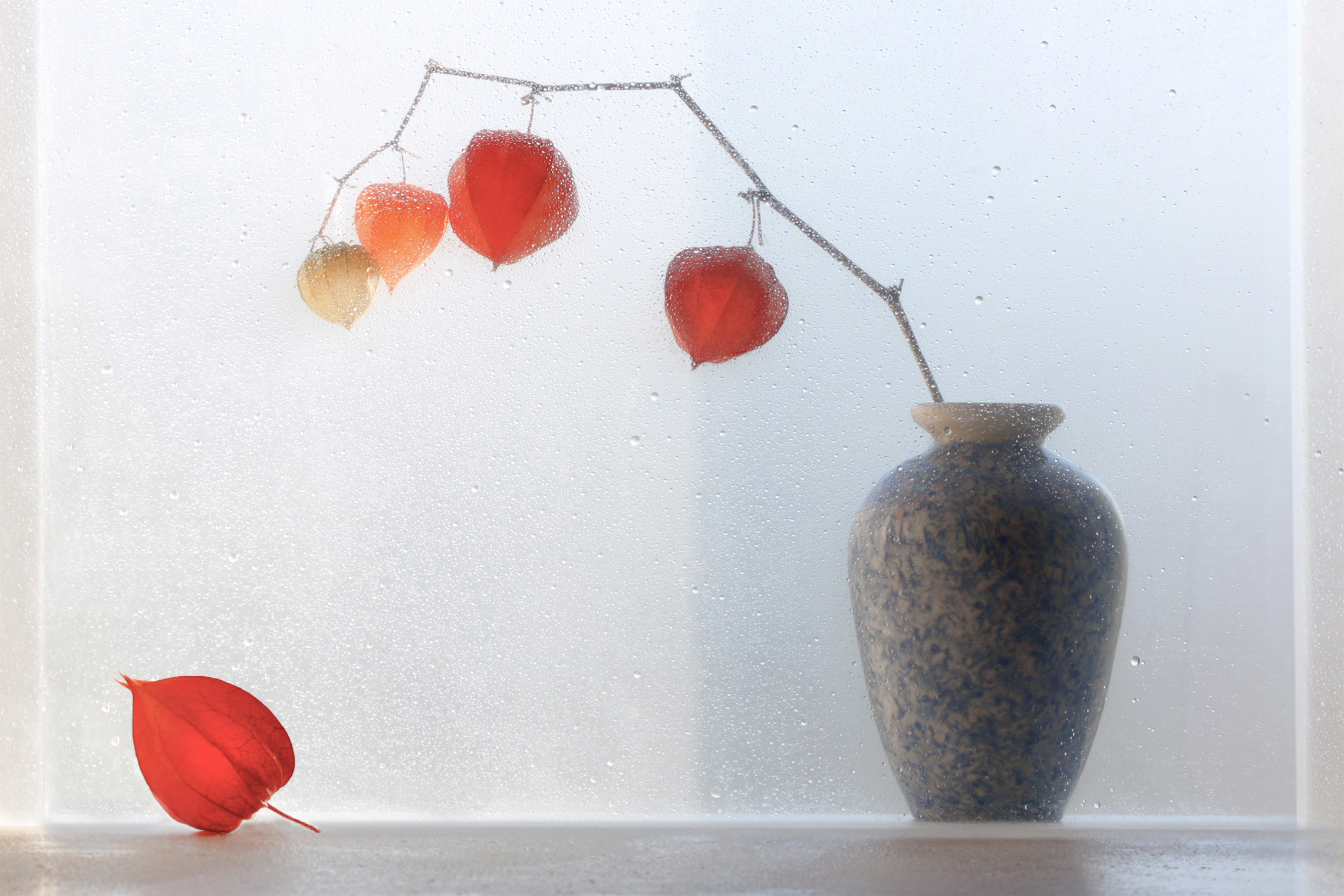 , Заболотская Ольга