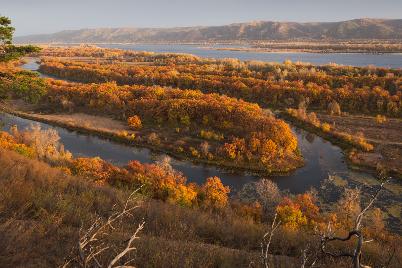 , Алексей Проняхин