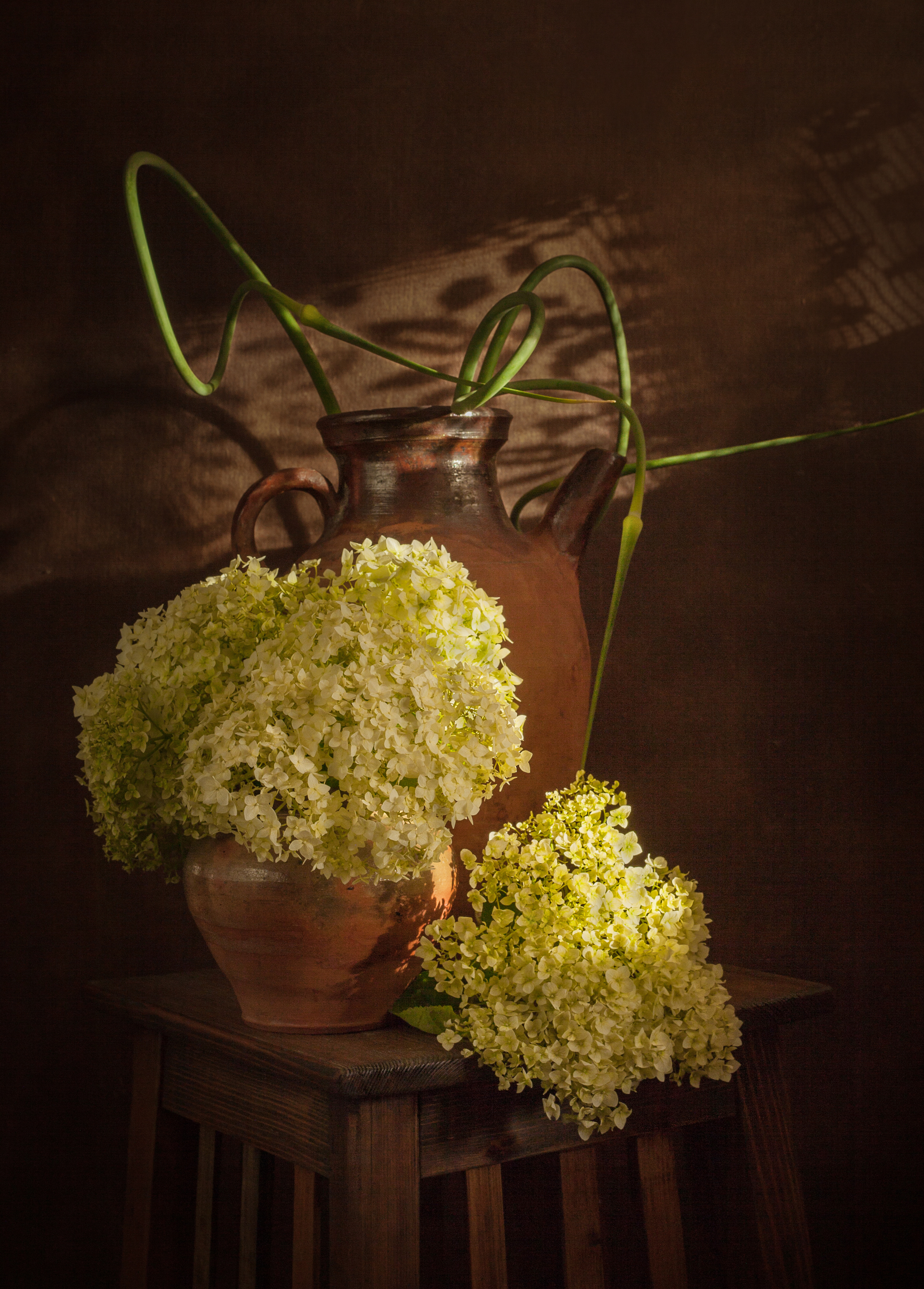 , Хвойнова Елена