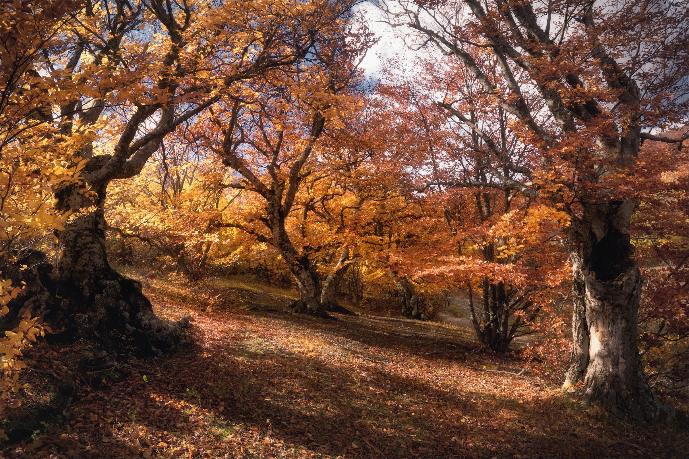 , Богорянов Алексей