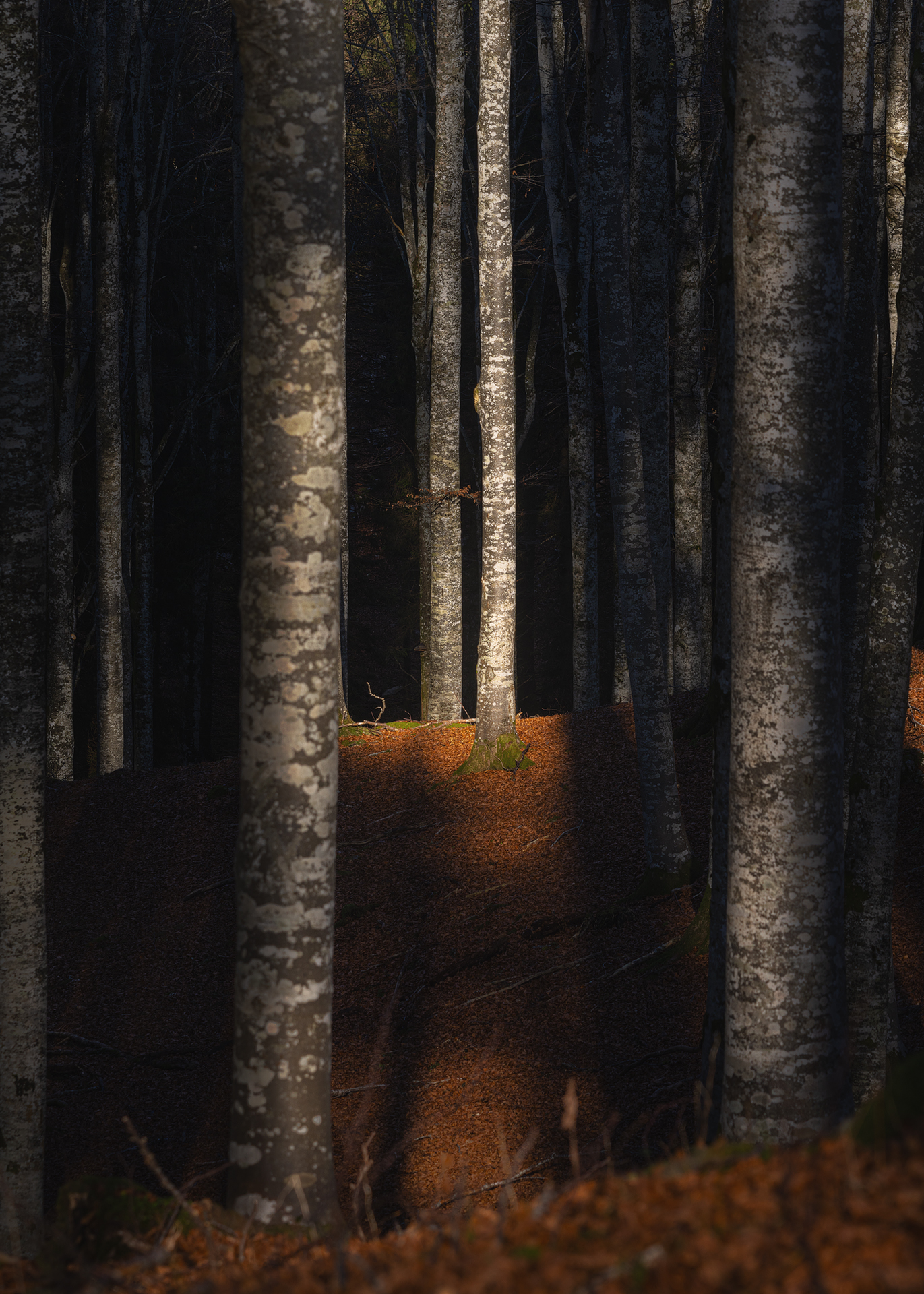 , Быков Сергей