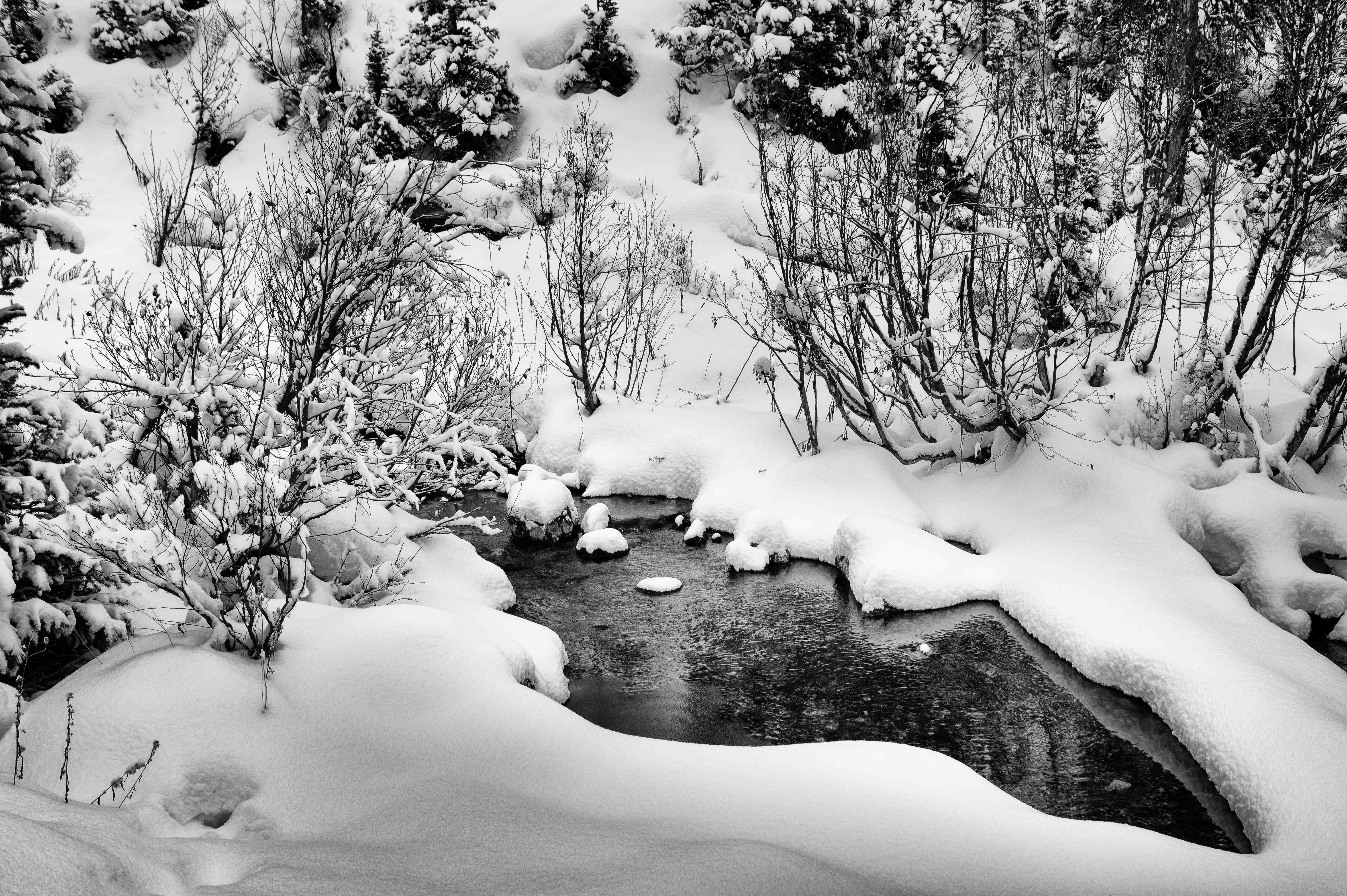 ергаки, саяны, Андреева Светлана