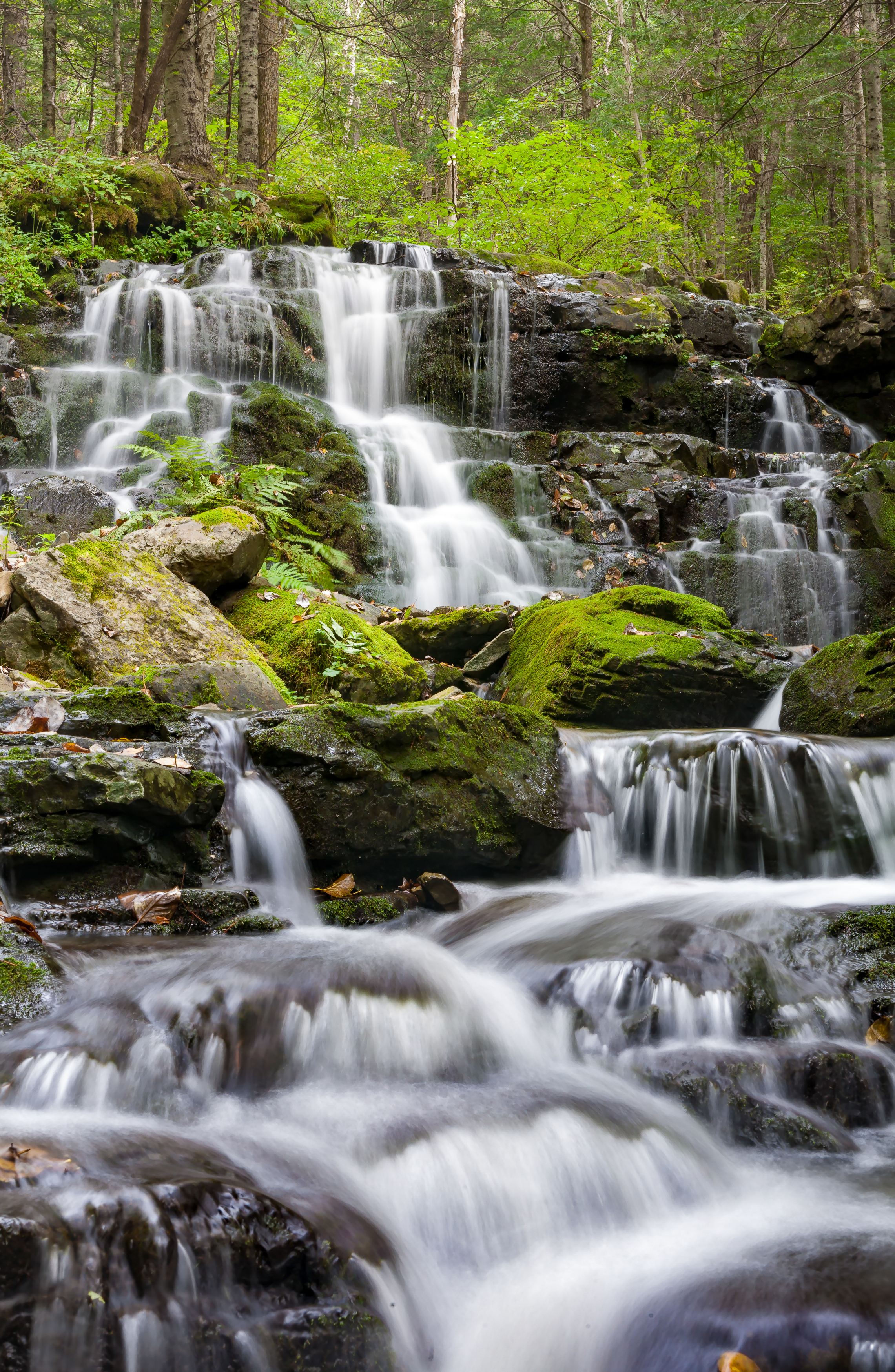 , Виктор Белименко