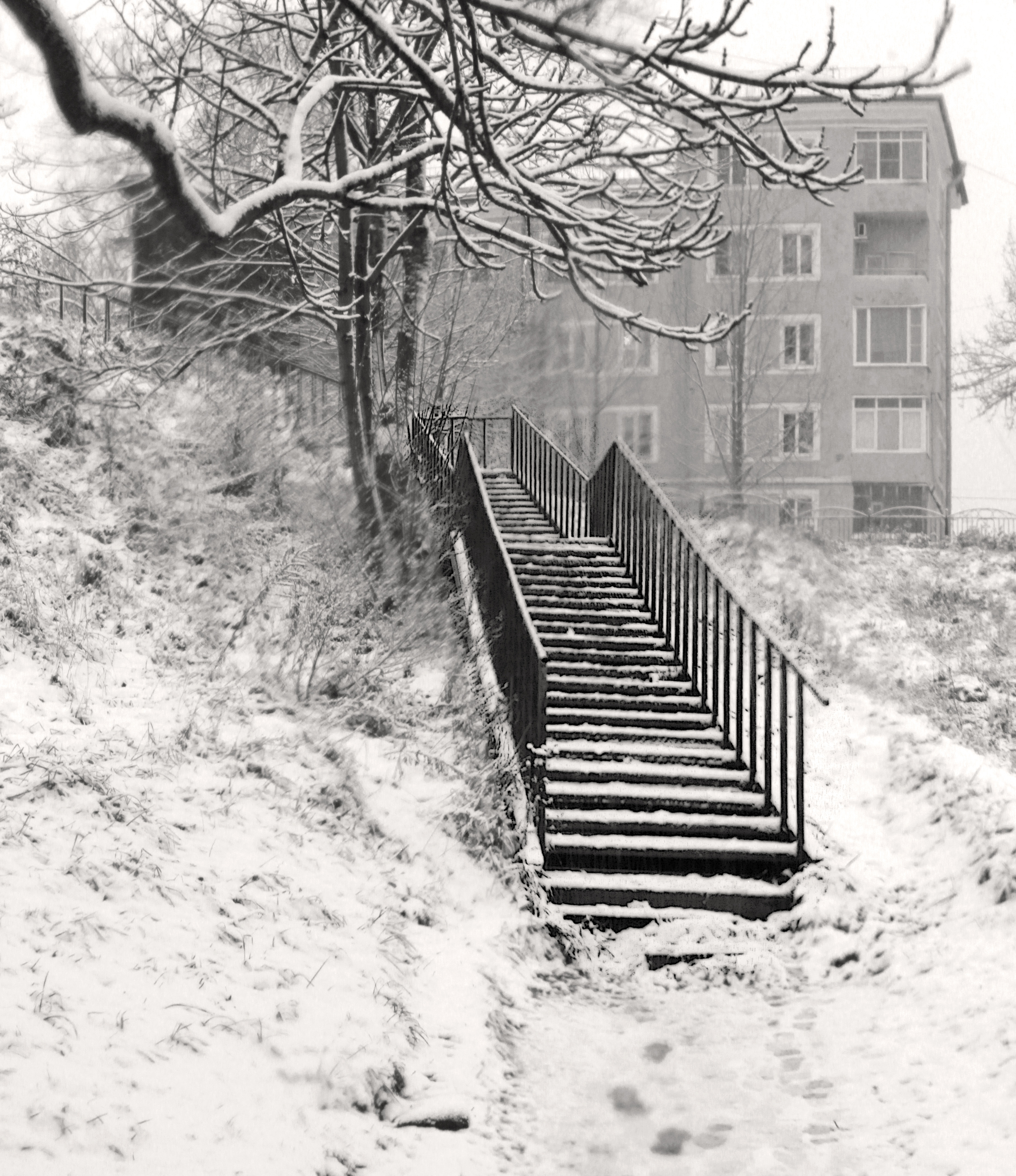 , Сергей Григорьев