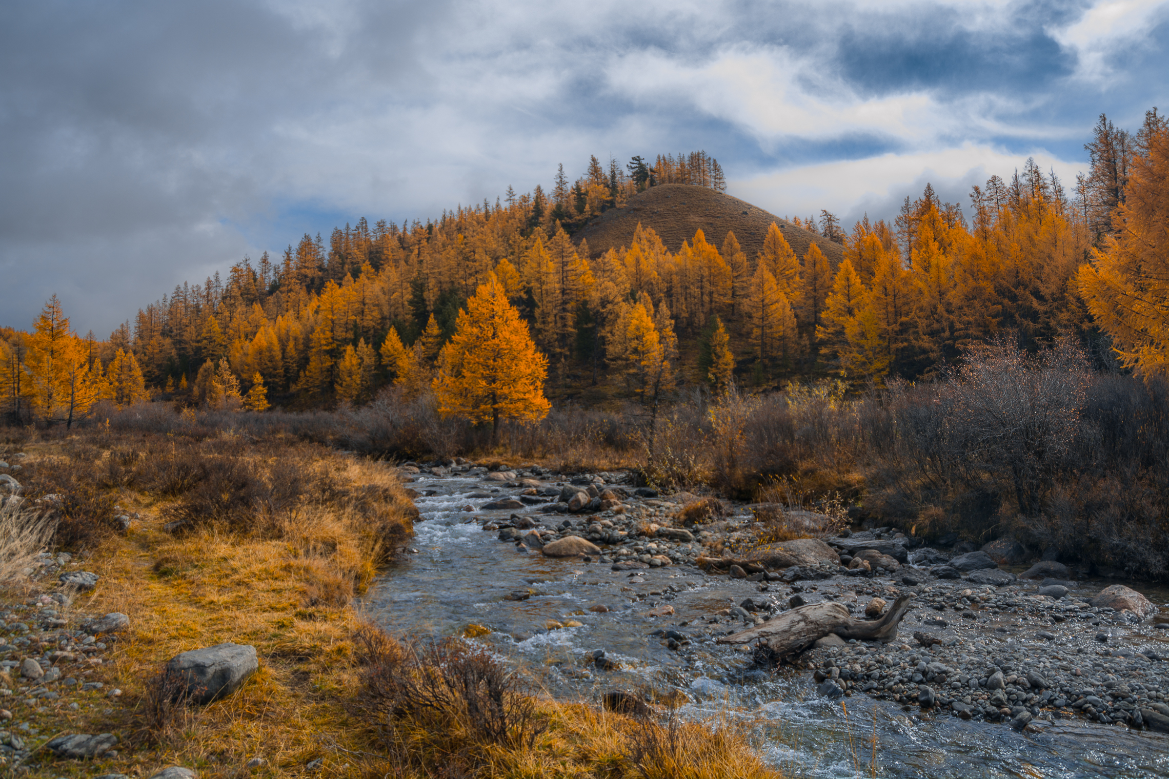 россия, горный алтай,осень,речка, ручей, облачно с прояснениями, Андрей Поляков