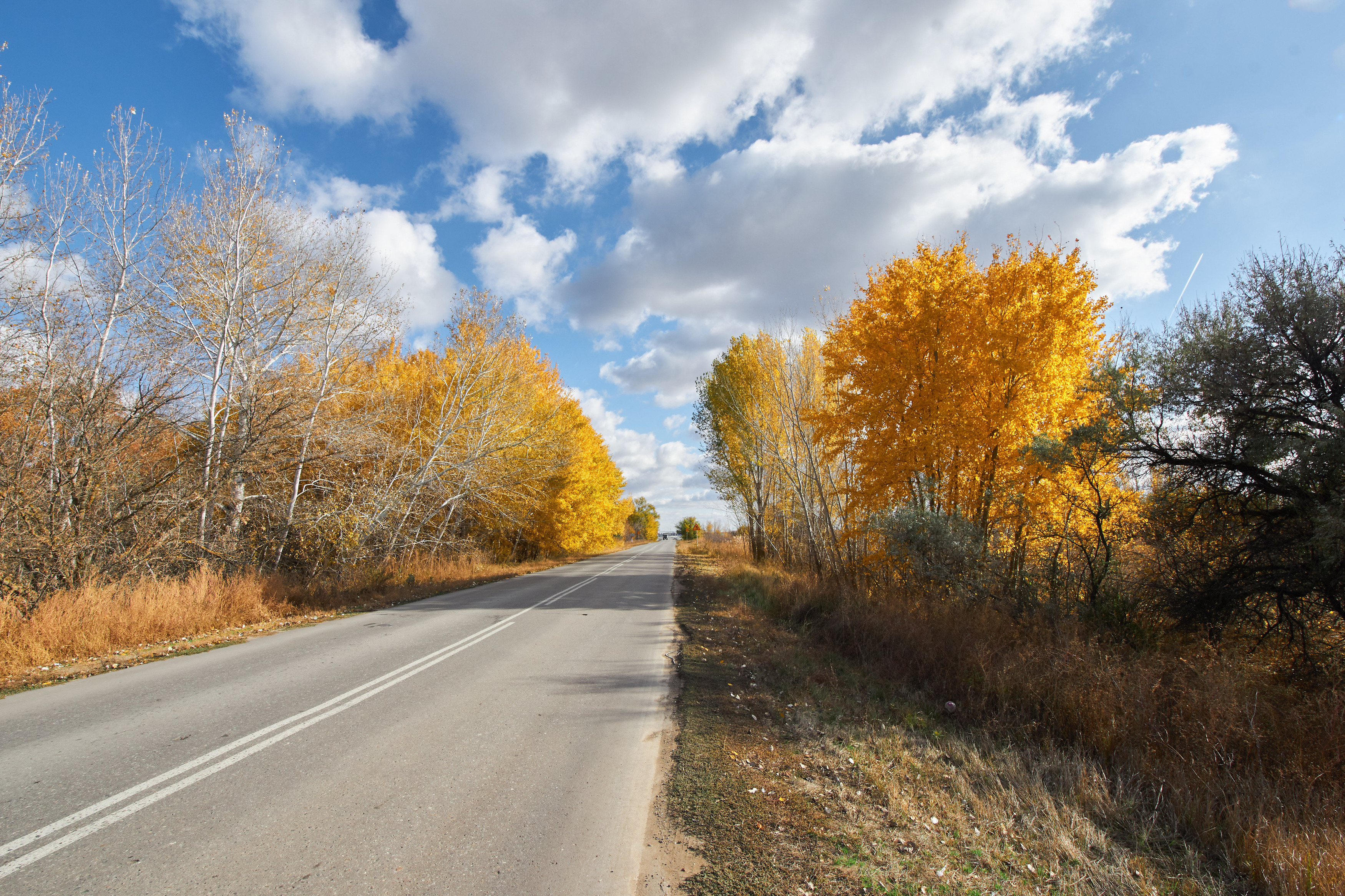 autumn, road, , Павел Сторчилов