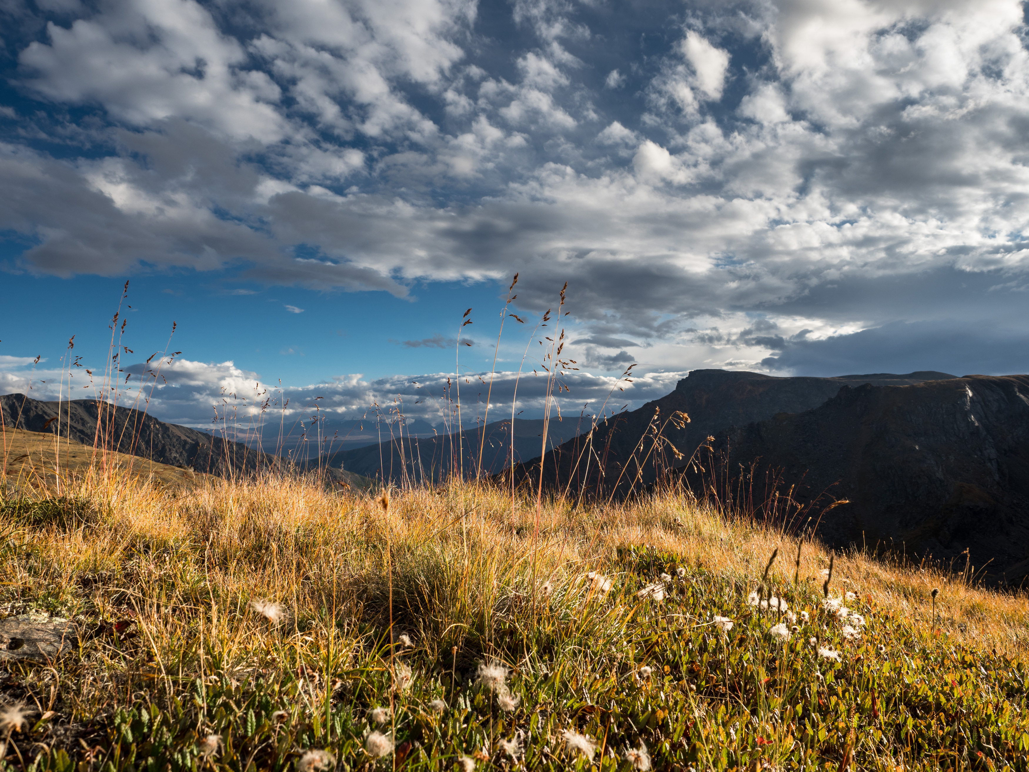 алтай, Станислав