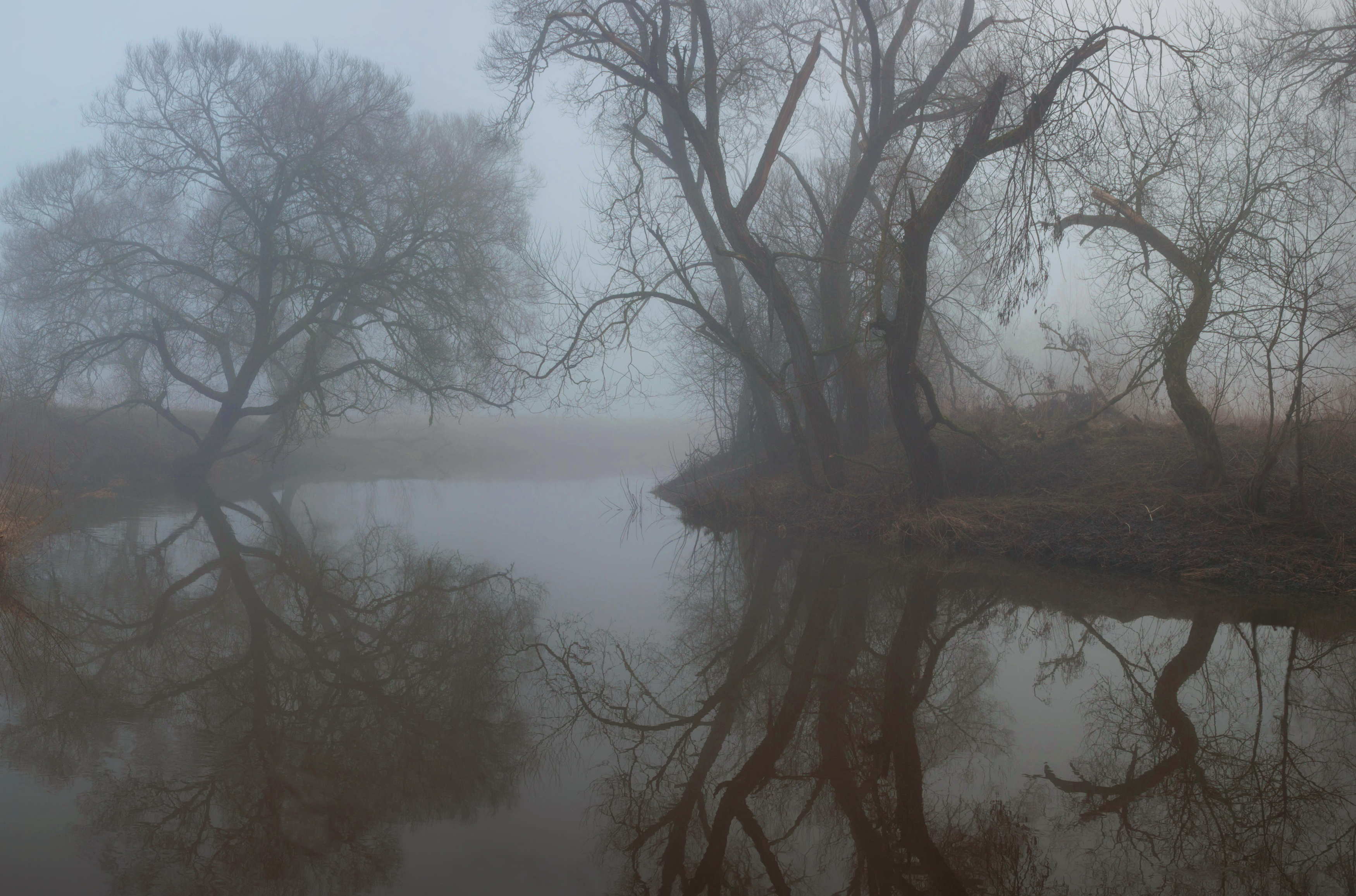 туман, река, весна, Свистков Александр
