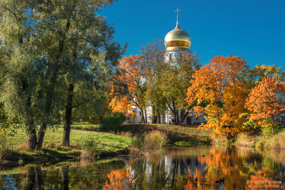 город, архитектура, город пушкин, городской пейзаж, осенний пейзаж, природа, царское село, фермский парк, собор феодоровской иконы божией матери, храмы, пригороды петербурга, Павлова Марина