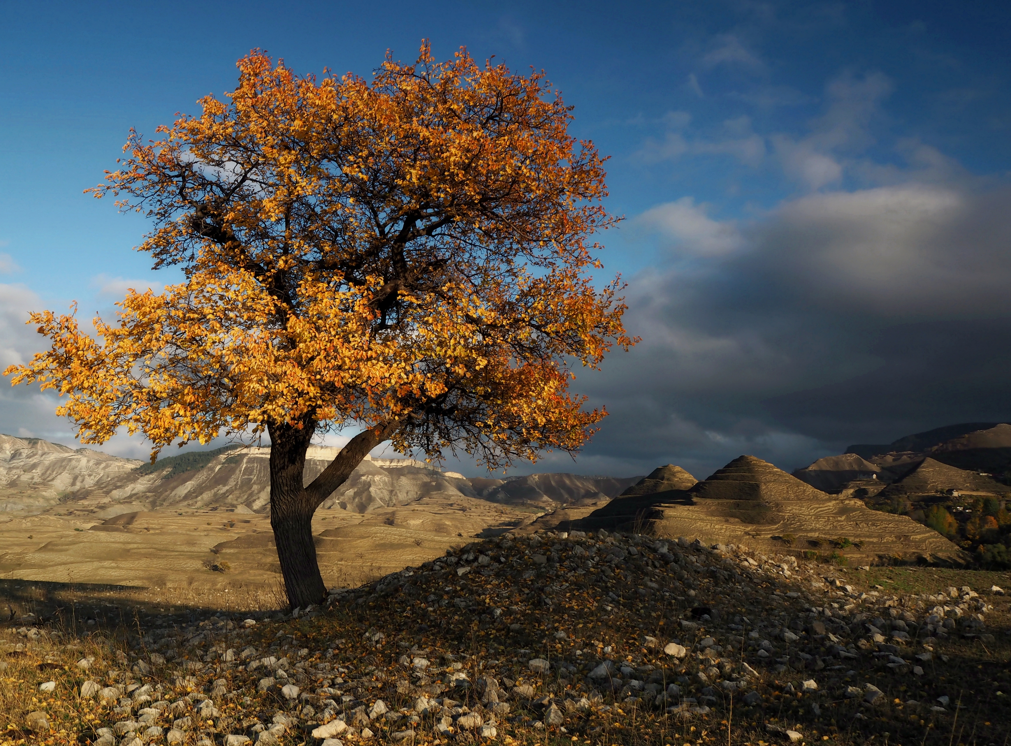 , Яковлев Евгений