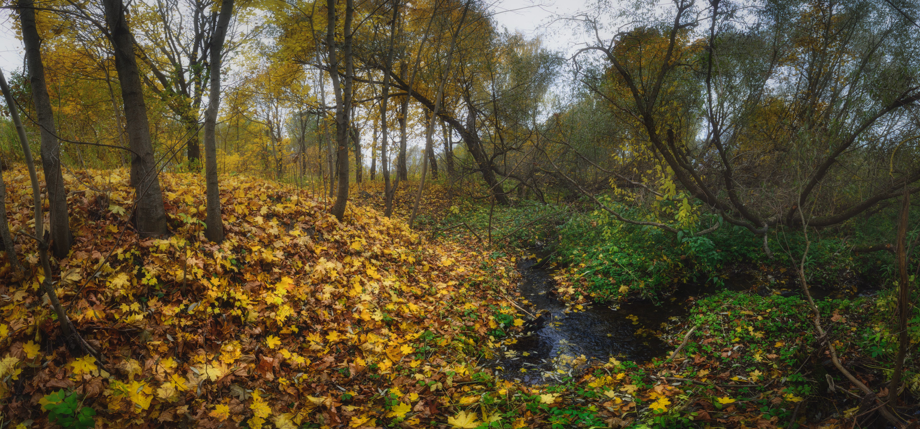 тула, тулица, Сергей Кочергин