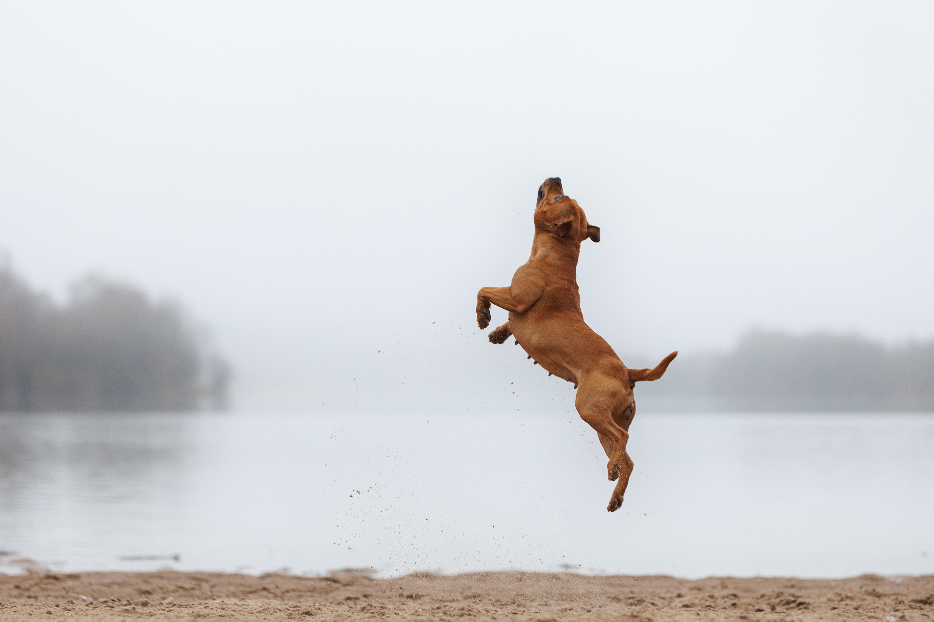, Шерскова Мария