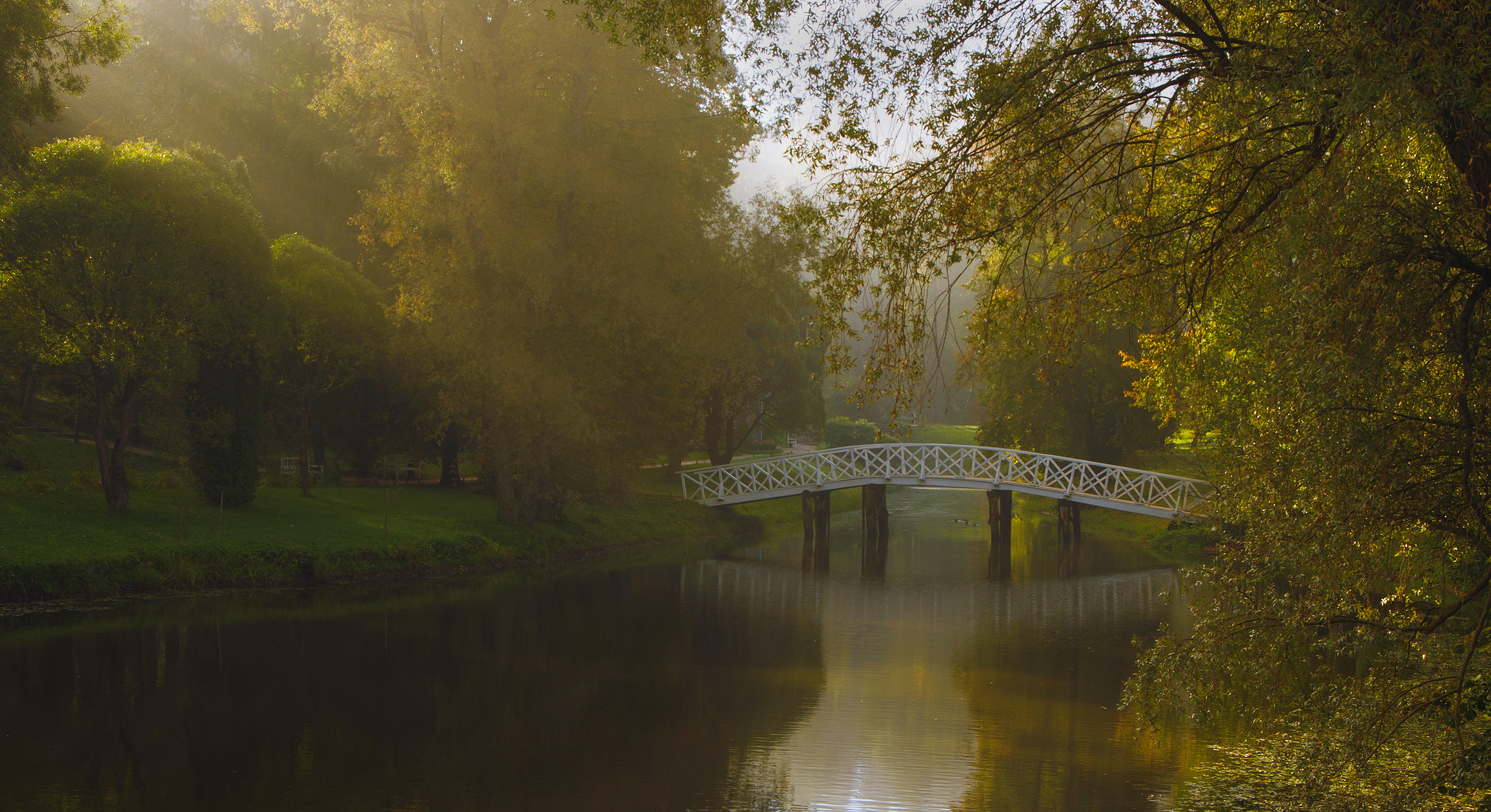 Пушкинские , Горы, усадьба, Михайловское, туман, мостик,, Kudryavtsev Pavel