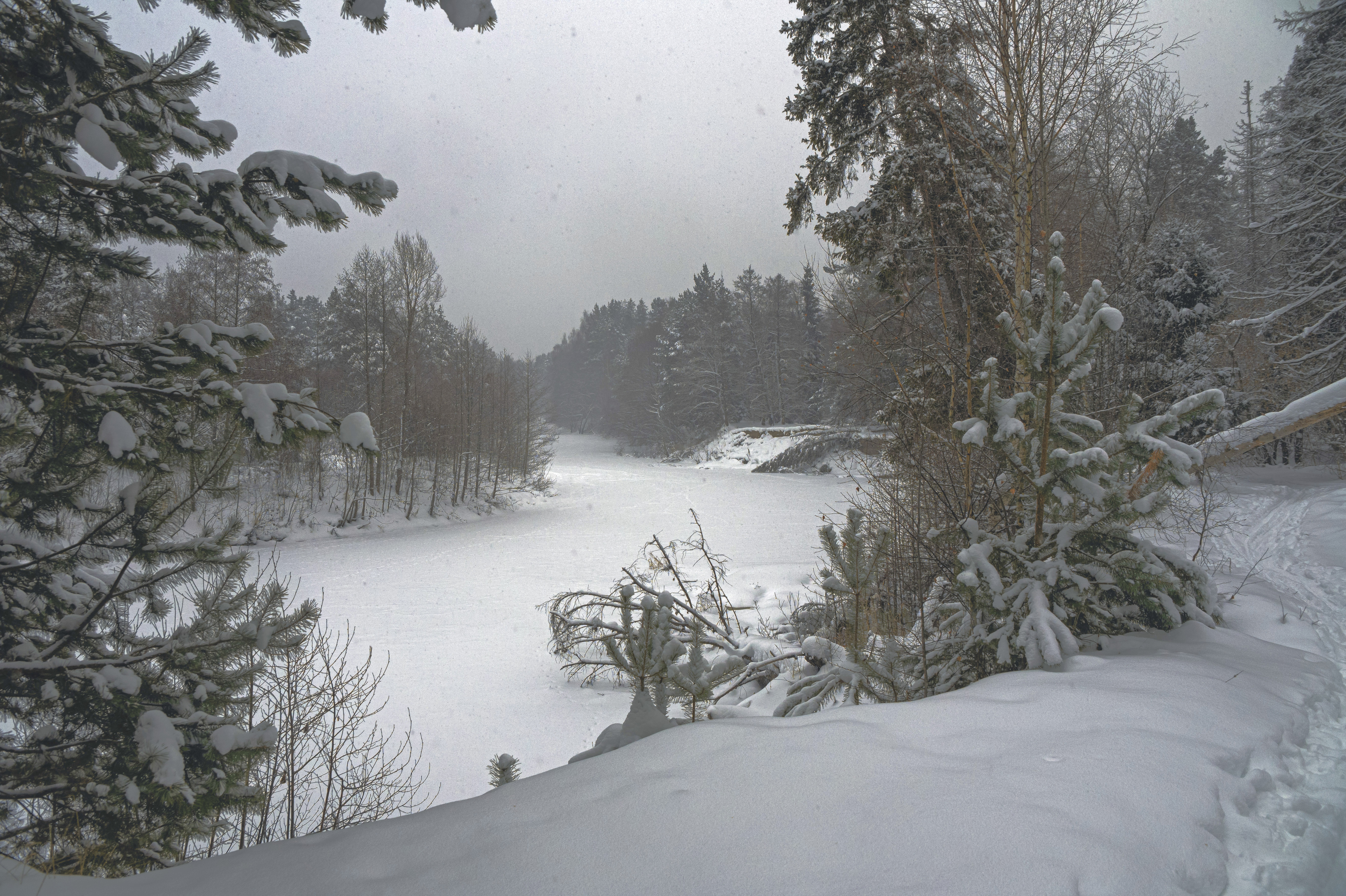 , Шитов Александр