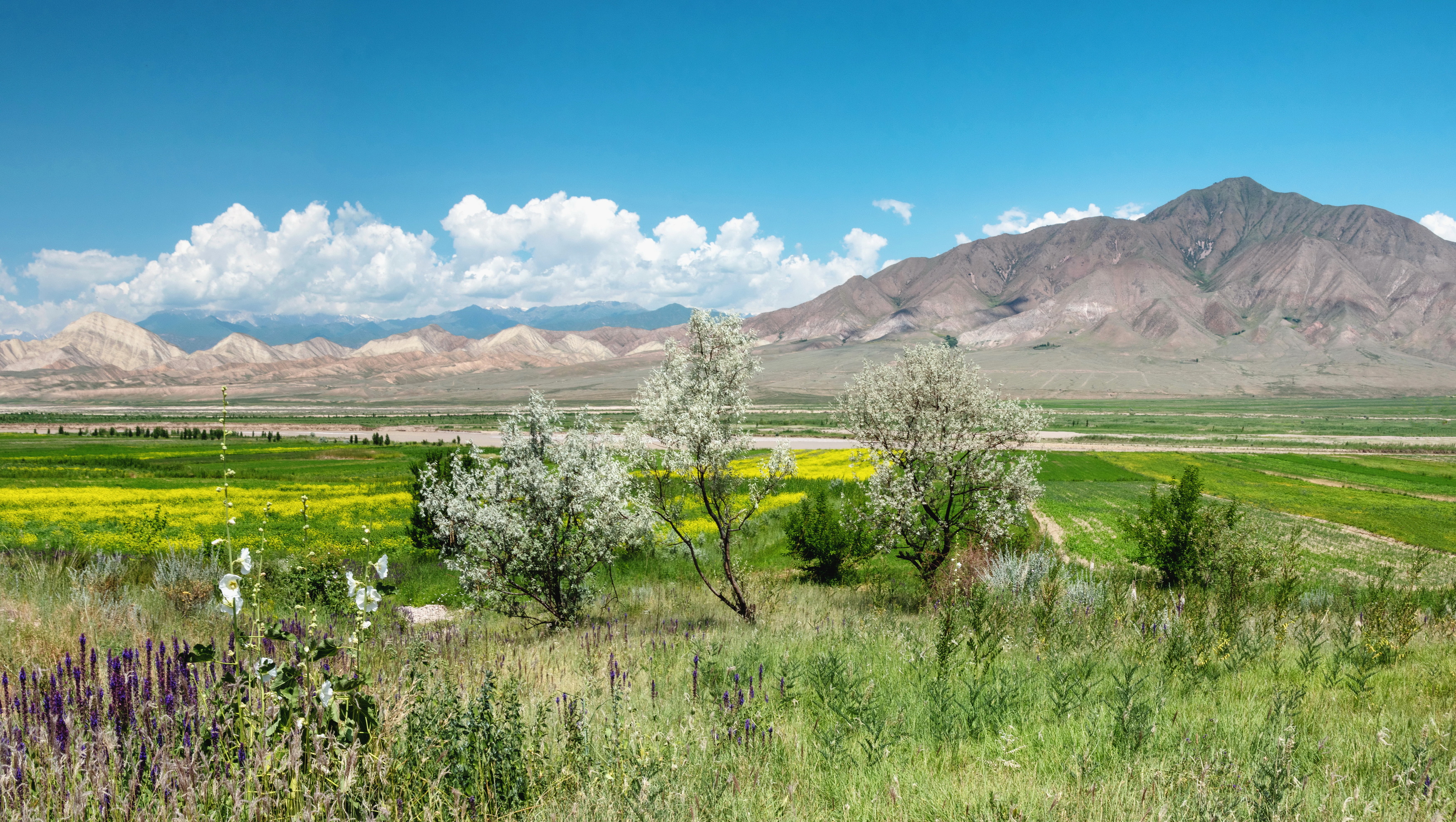 , Кетова Вера