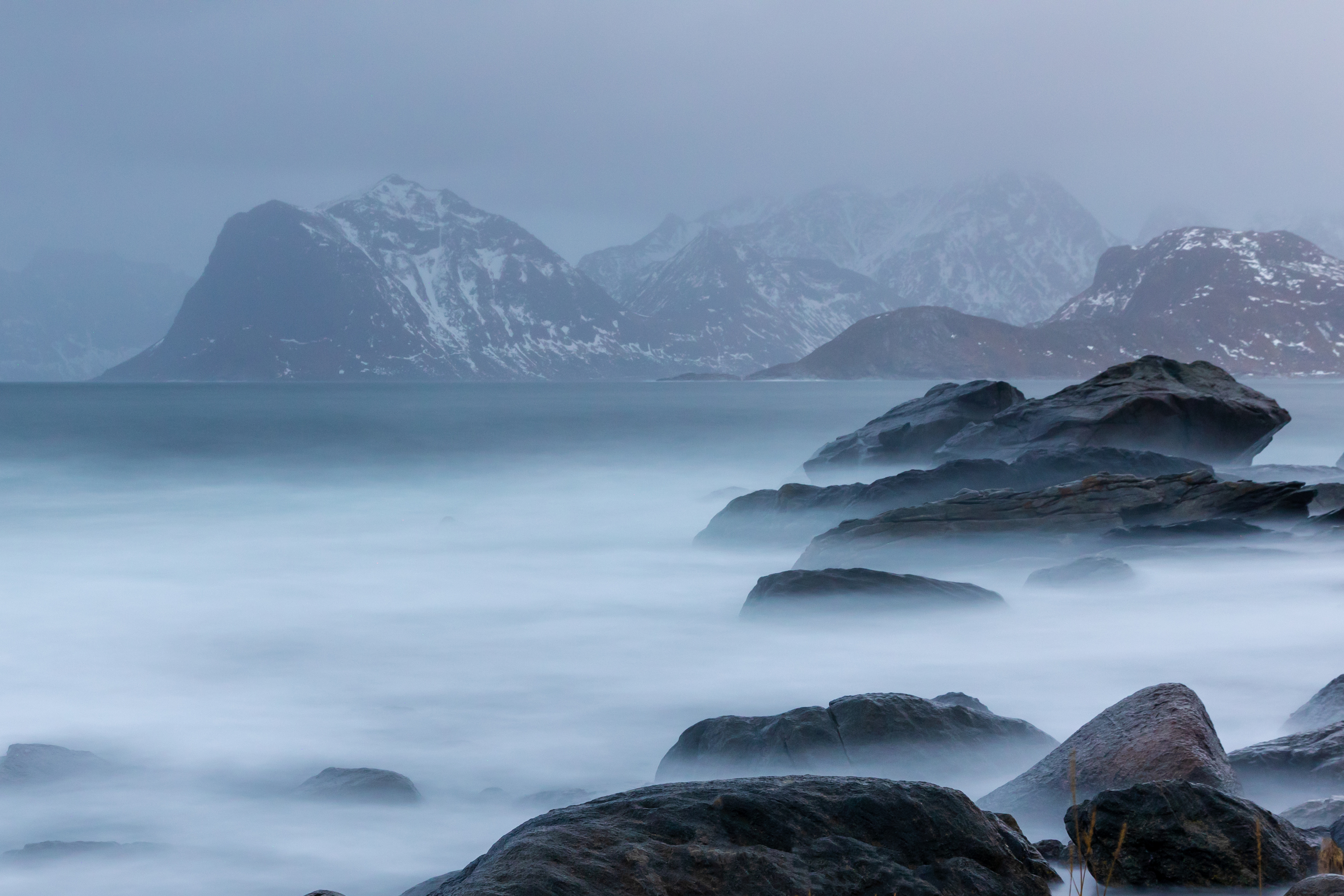 , Евгения Чех