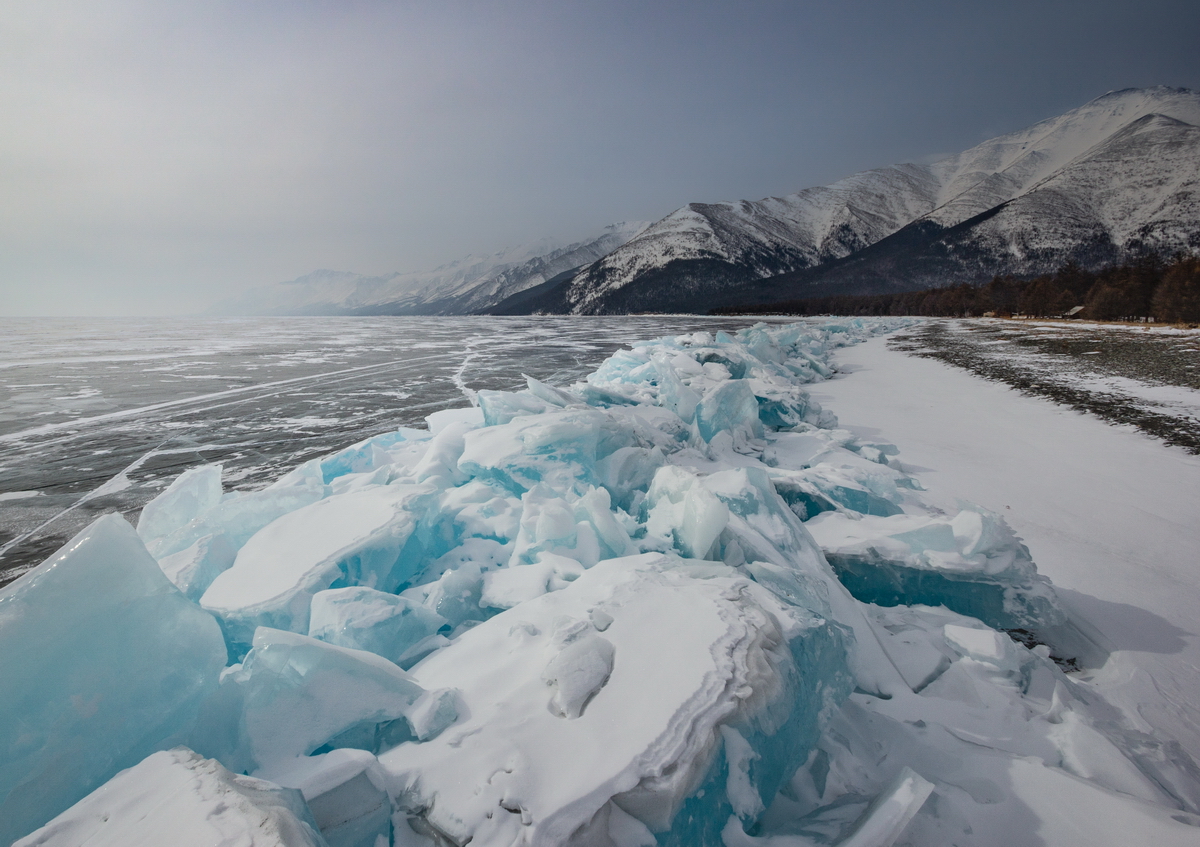 , Трофимов Алексей
