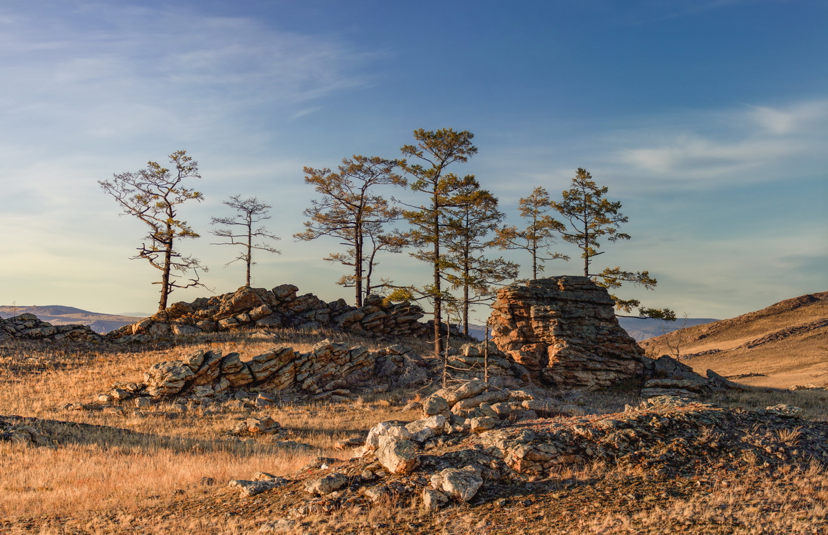 , Трофимов Алексей