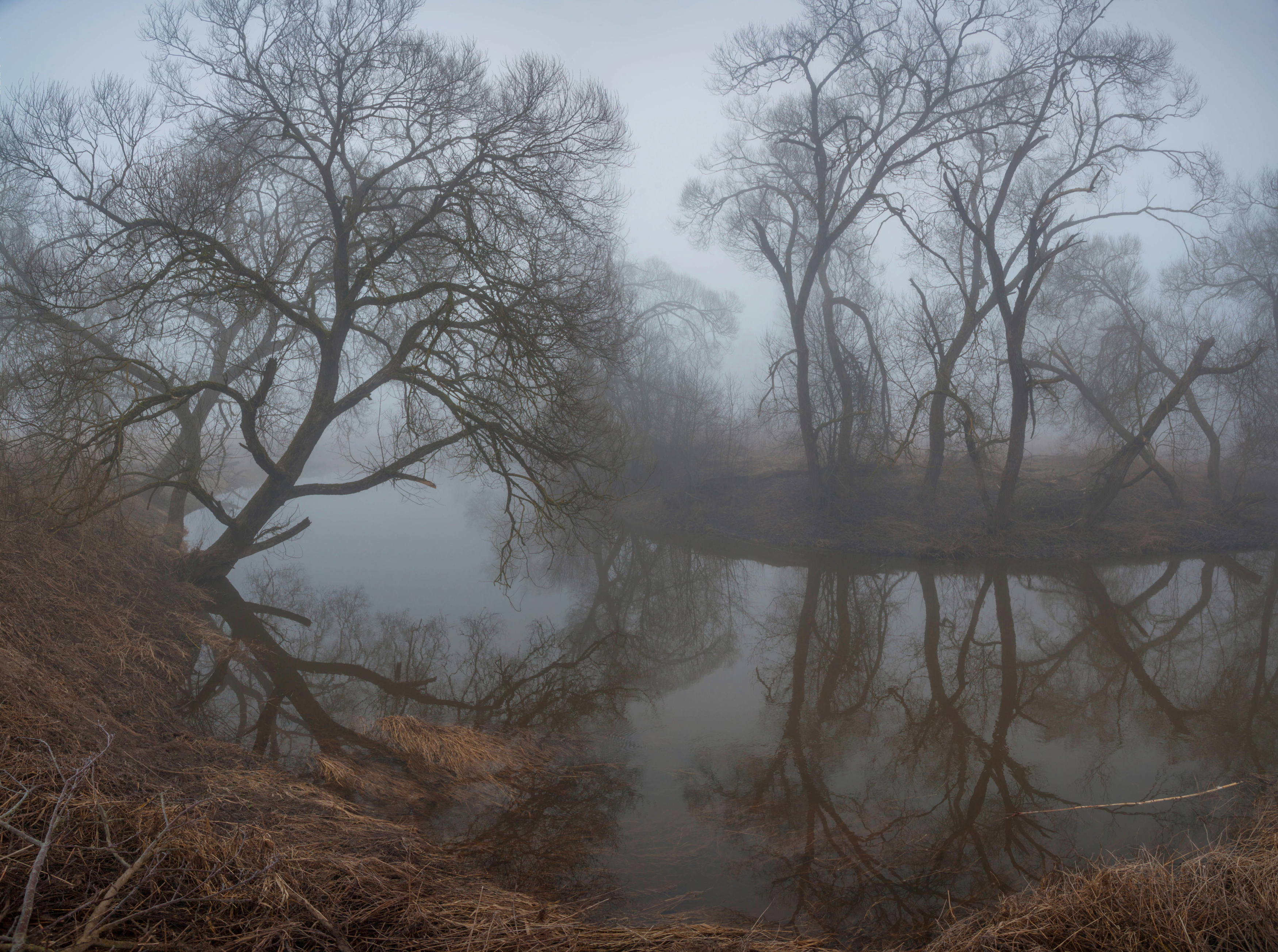 река , туман , весна, Свистков Александр
