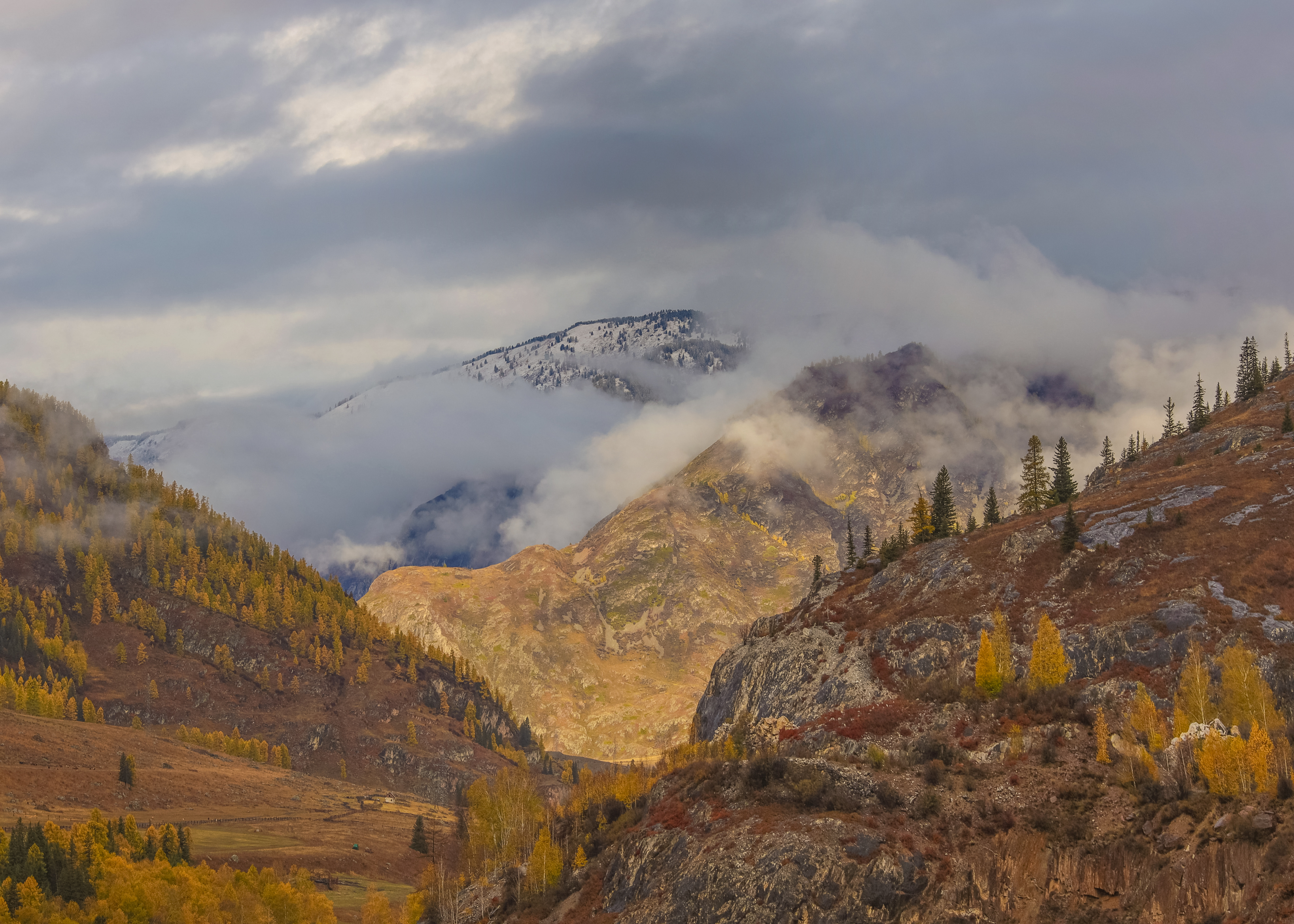 , Константин Буркин