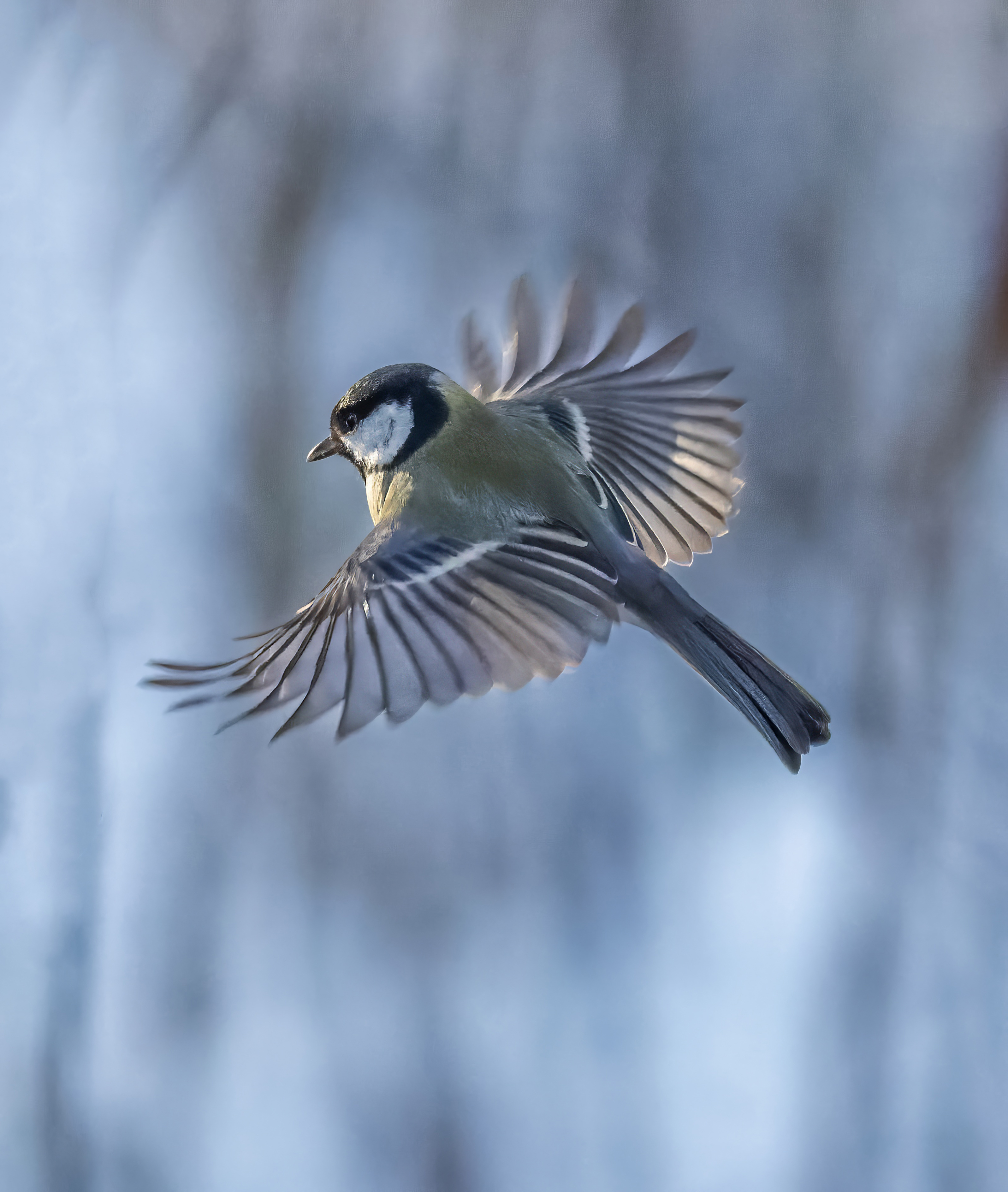 , Дем Константин