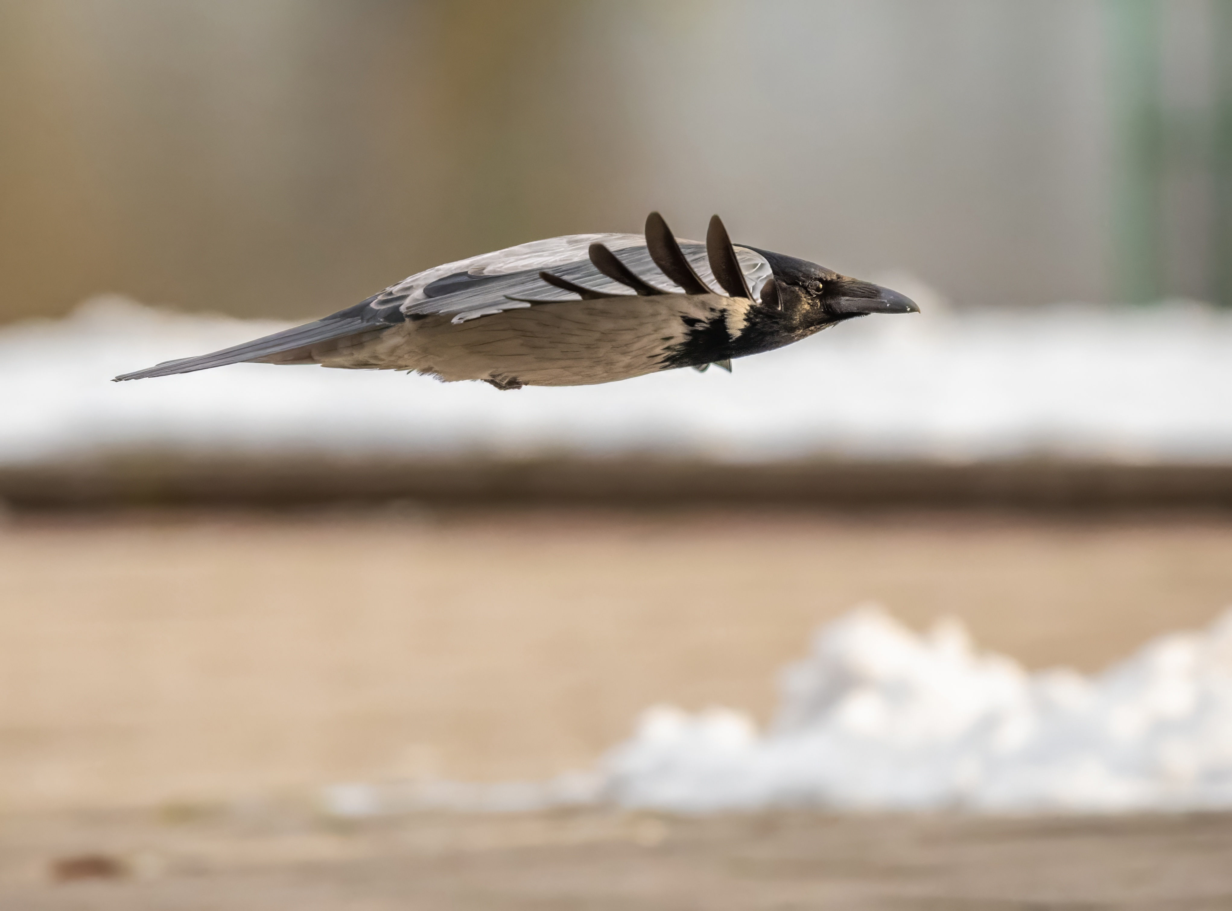 , Дем Константин