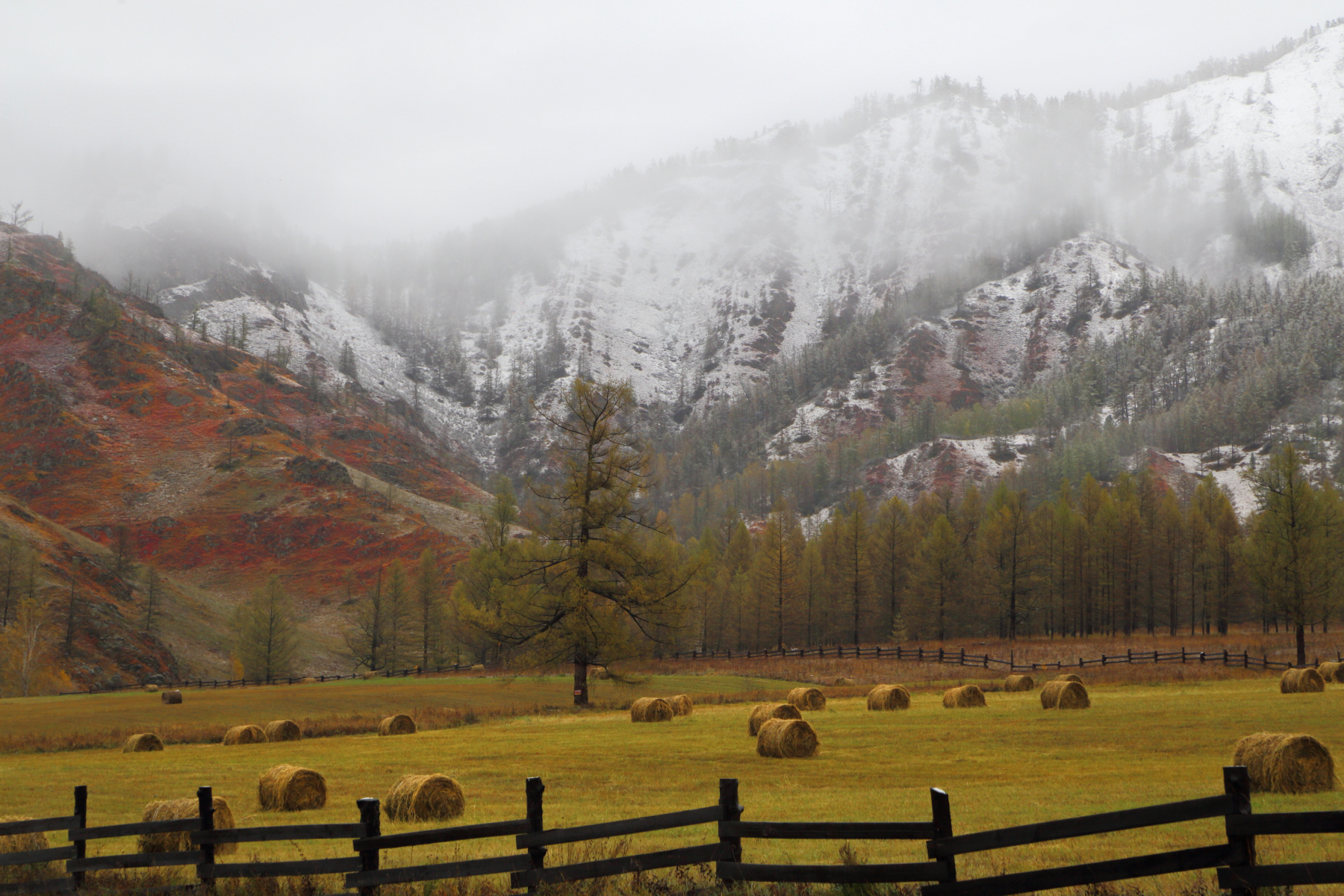 , Евгений Зинов