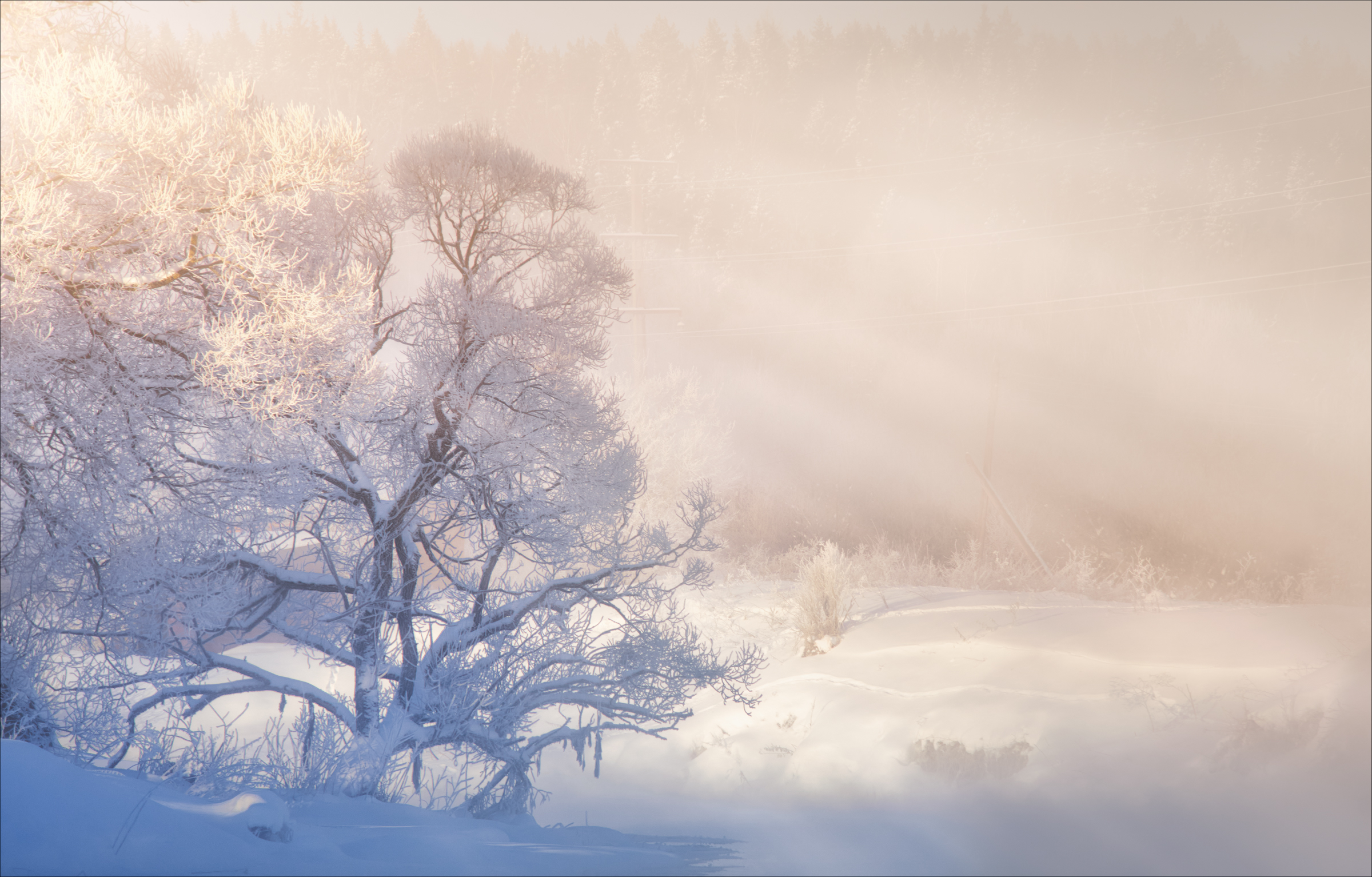 , Богорянов Алексей