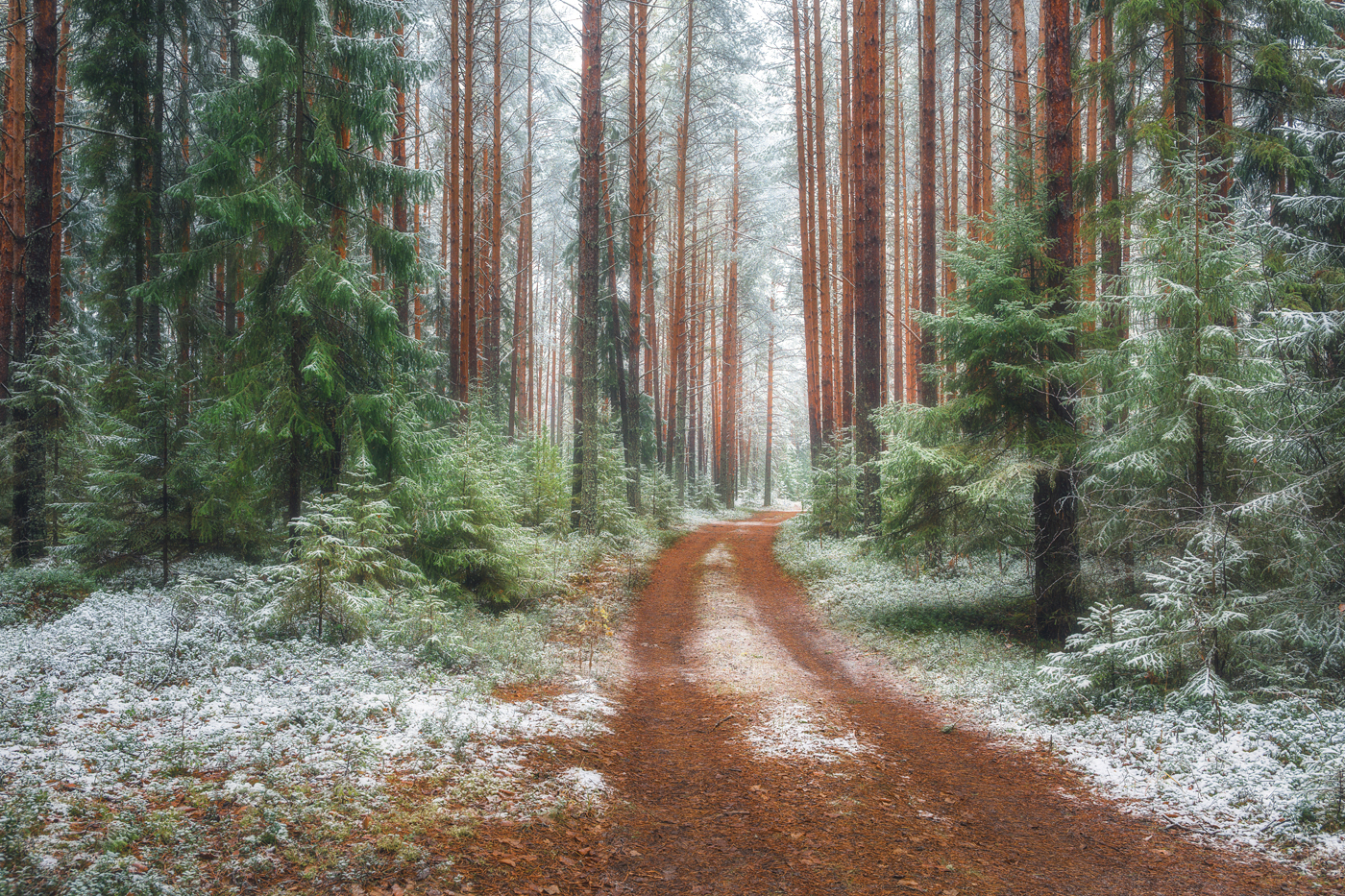 , Михаил Устюжанин