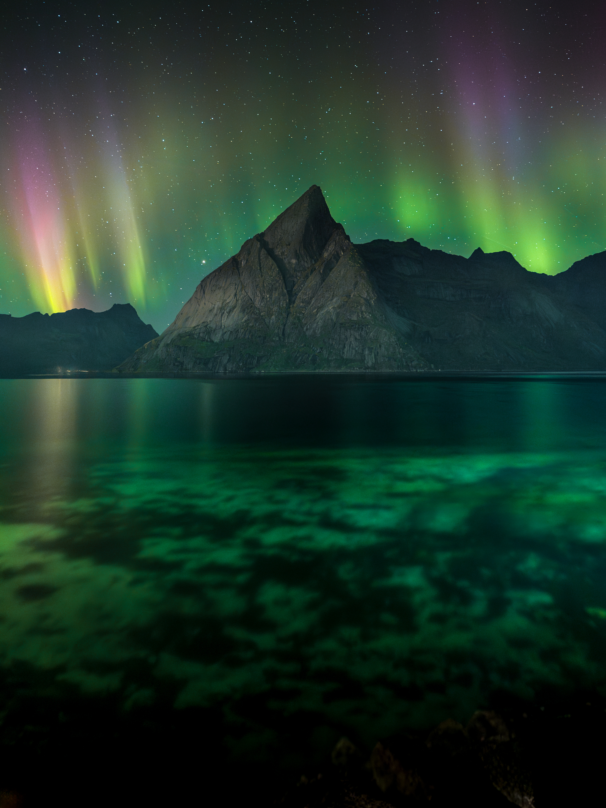 , Вукотић Никола