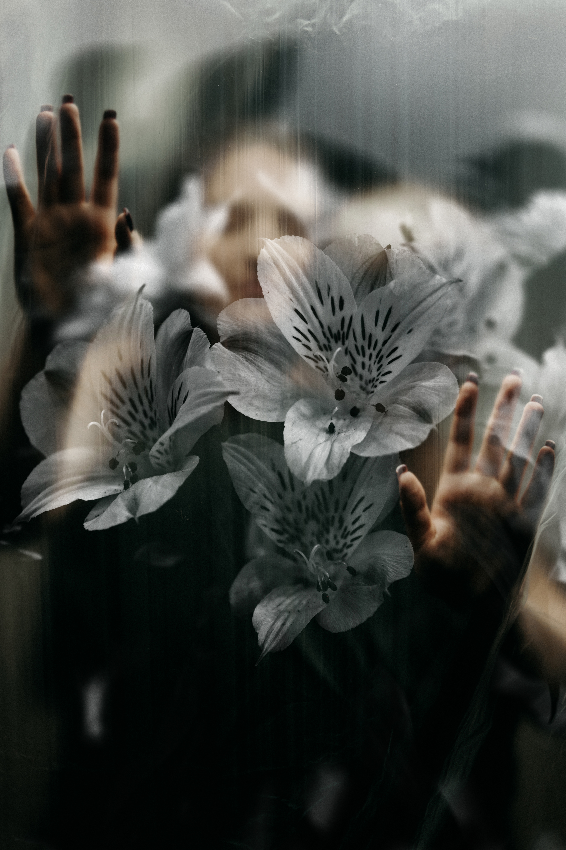 , Шарабанов Дмитрий