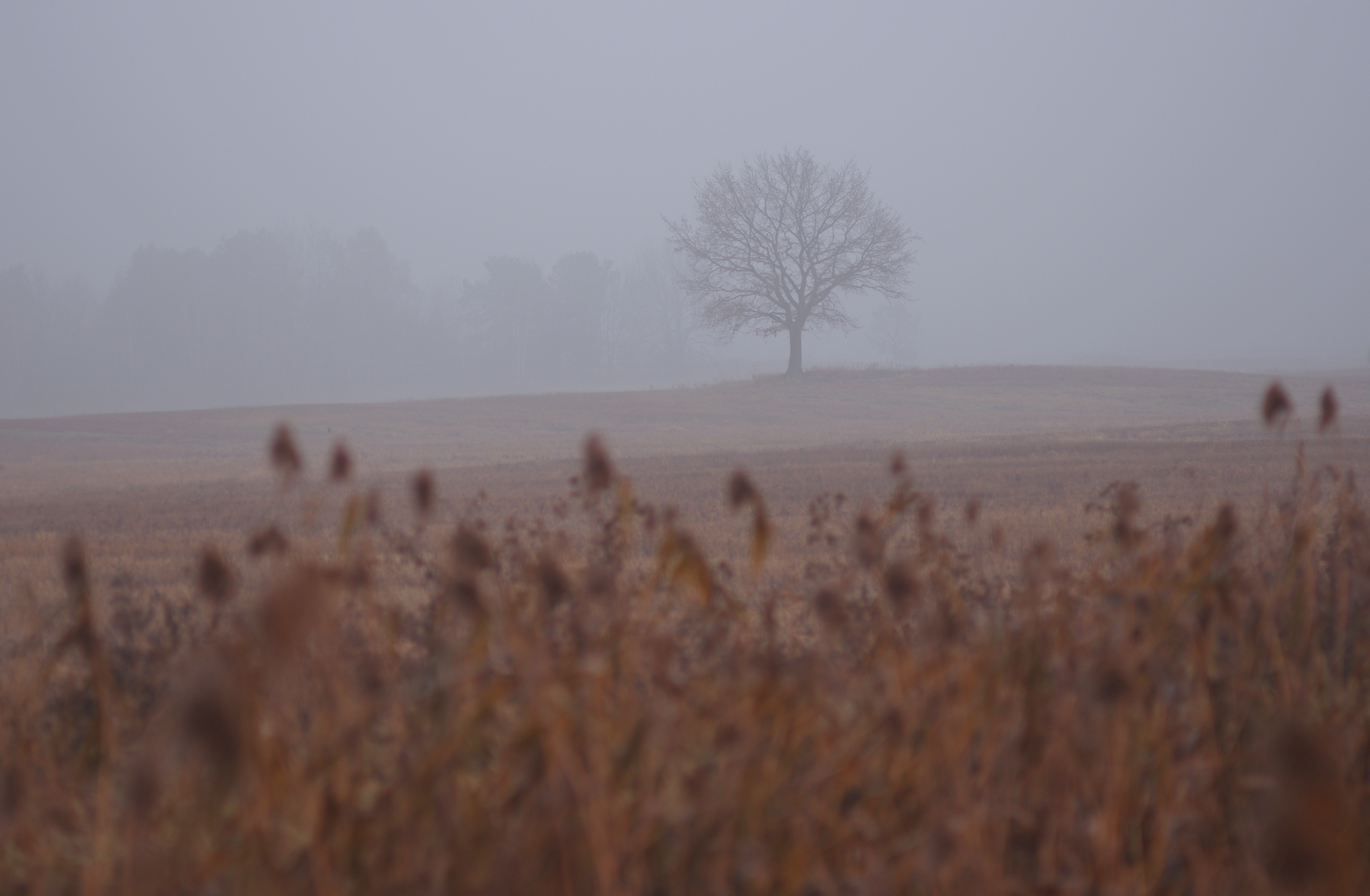 , Шляга Сергей