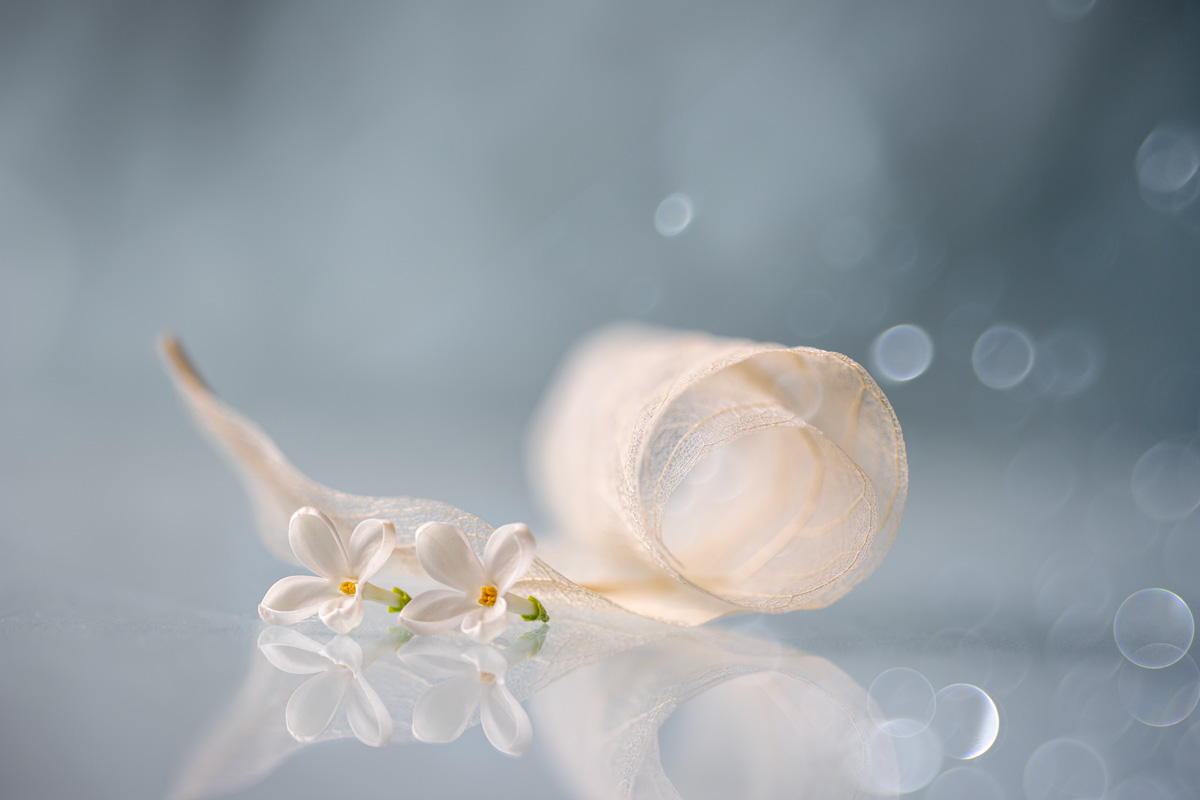 , Игорь Копцев