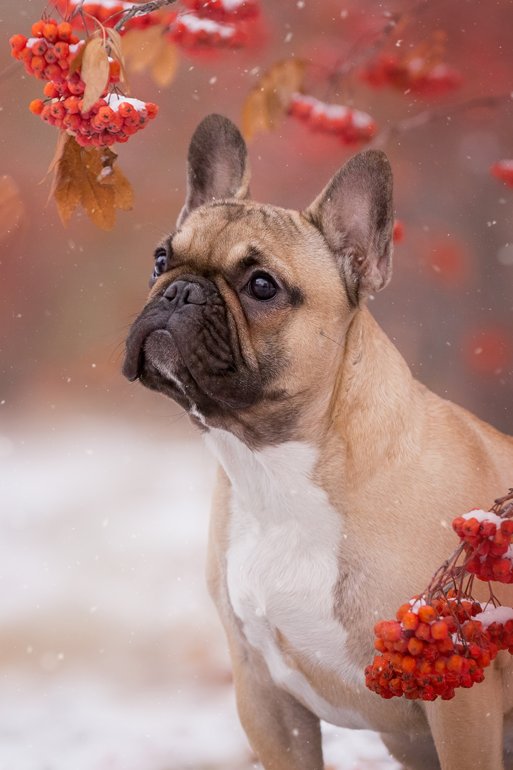 , Наталья Степанова