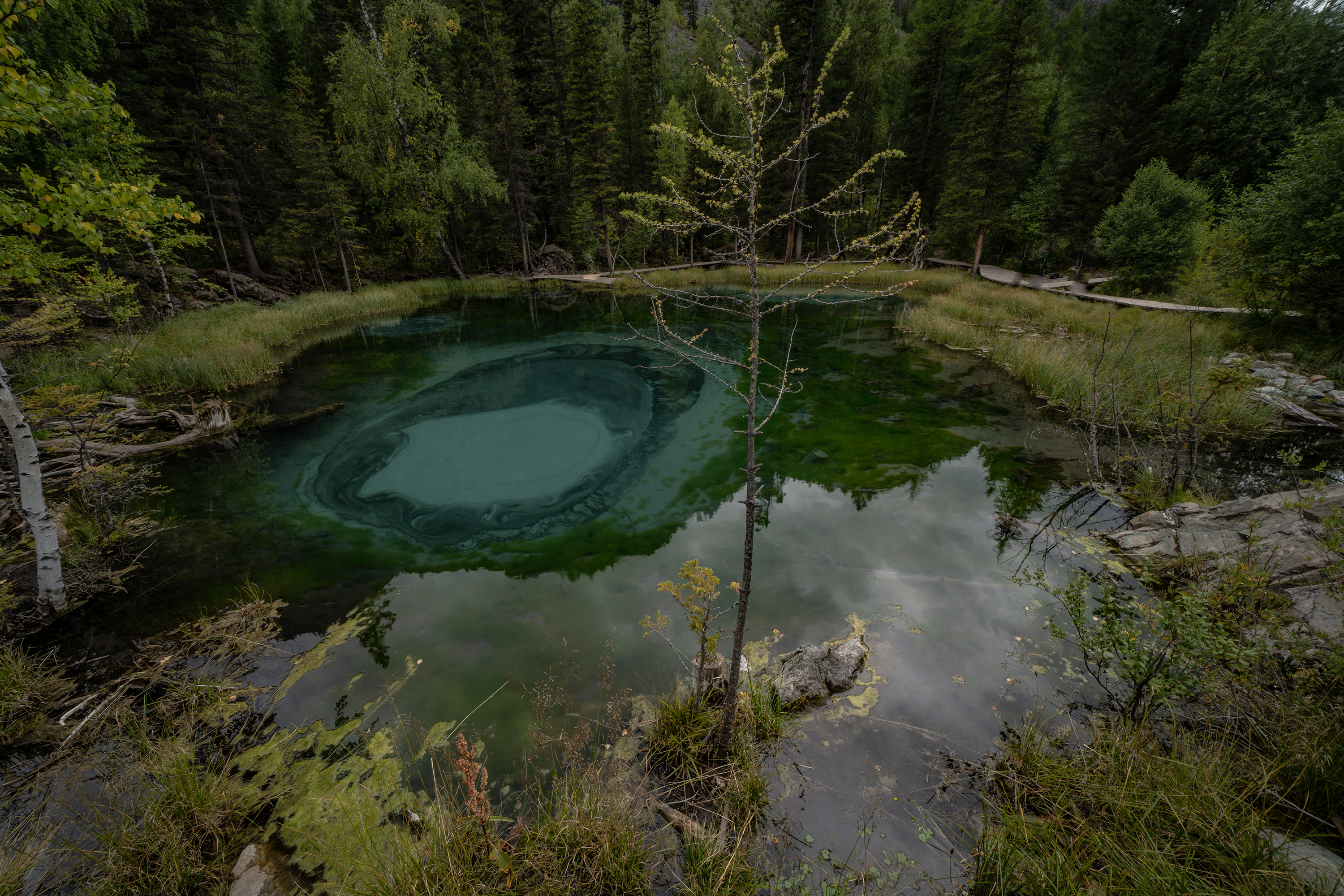 Россия, Республика Алтай, Улаганский район,  Гейзерное озеро, Гаврилов Юрий