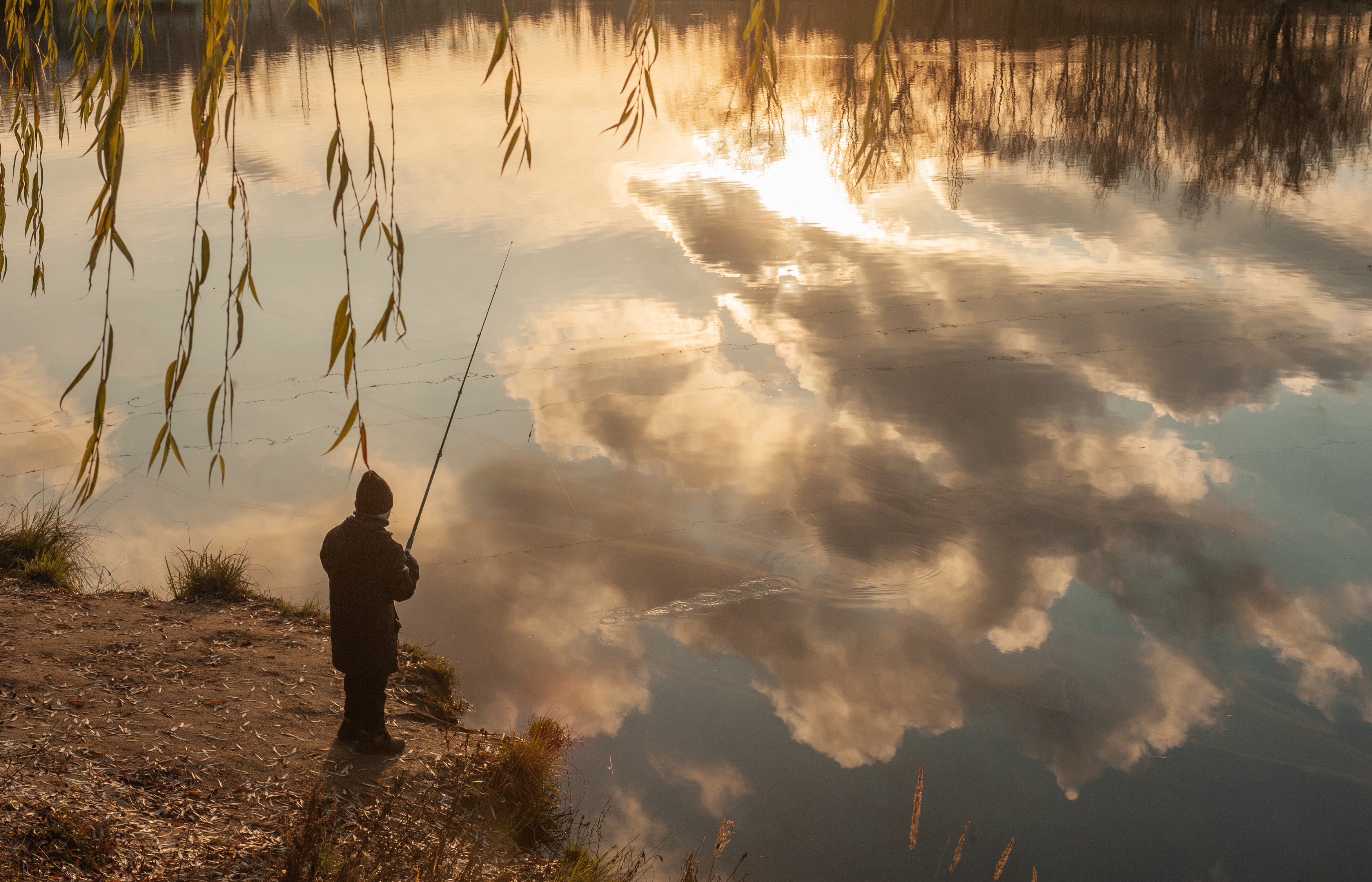 , Виктор Черкасов